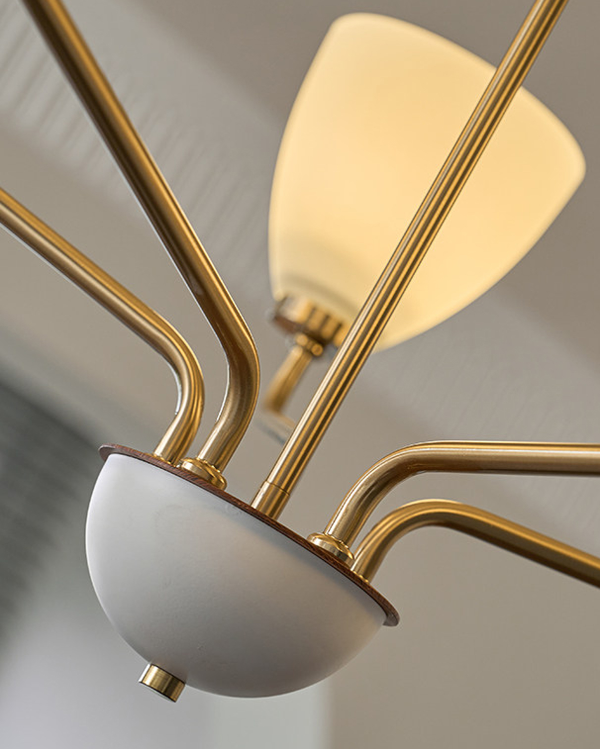 Hearth Branch Chandelier