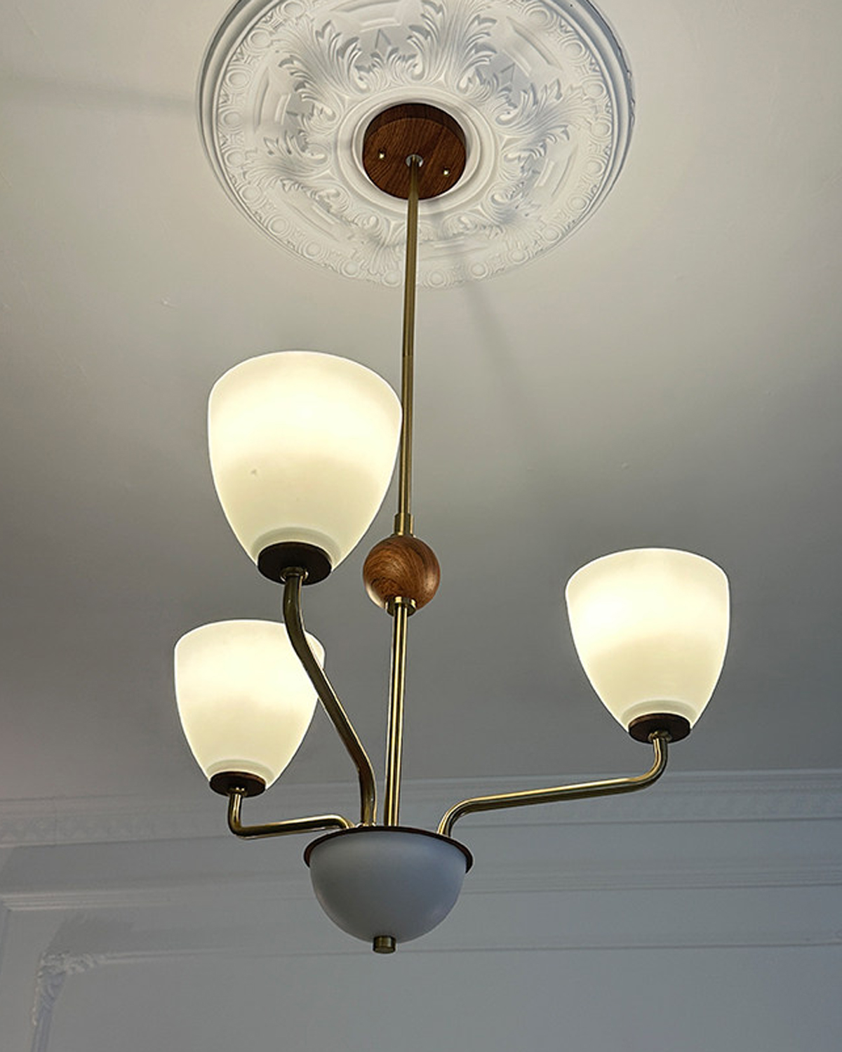Hearth Branch Chandelier