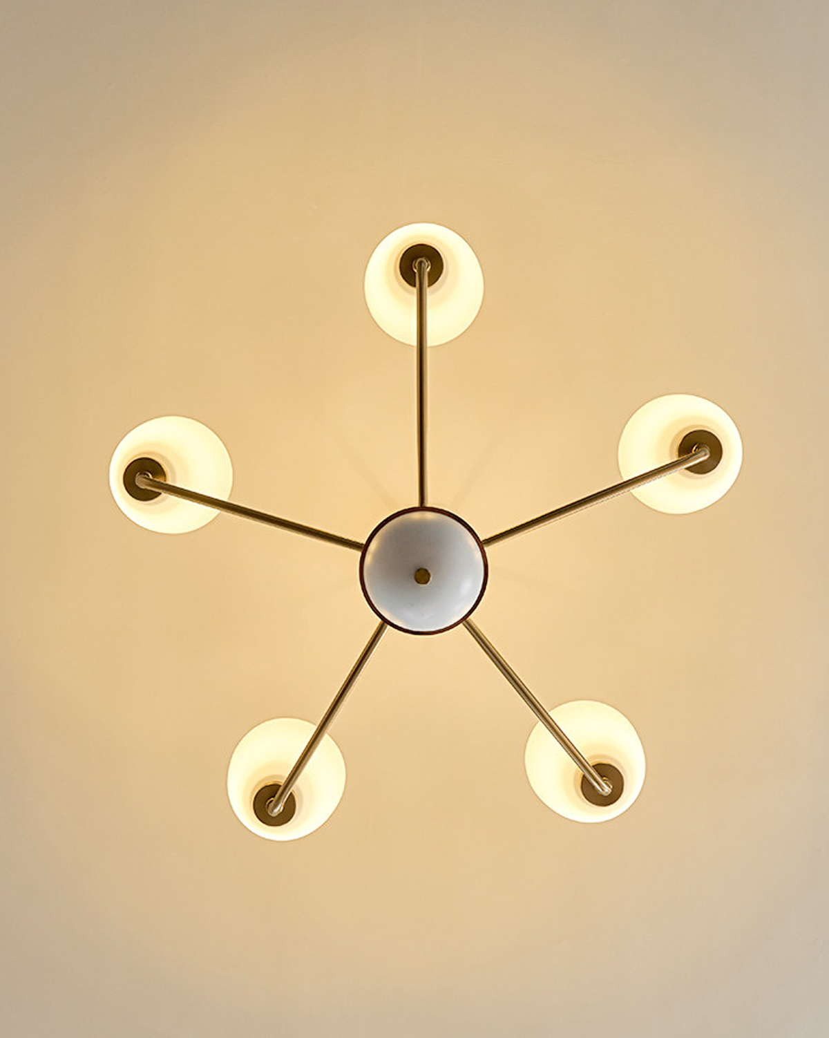 Hearth Branch Chandelier