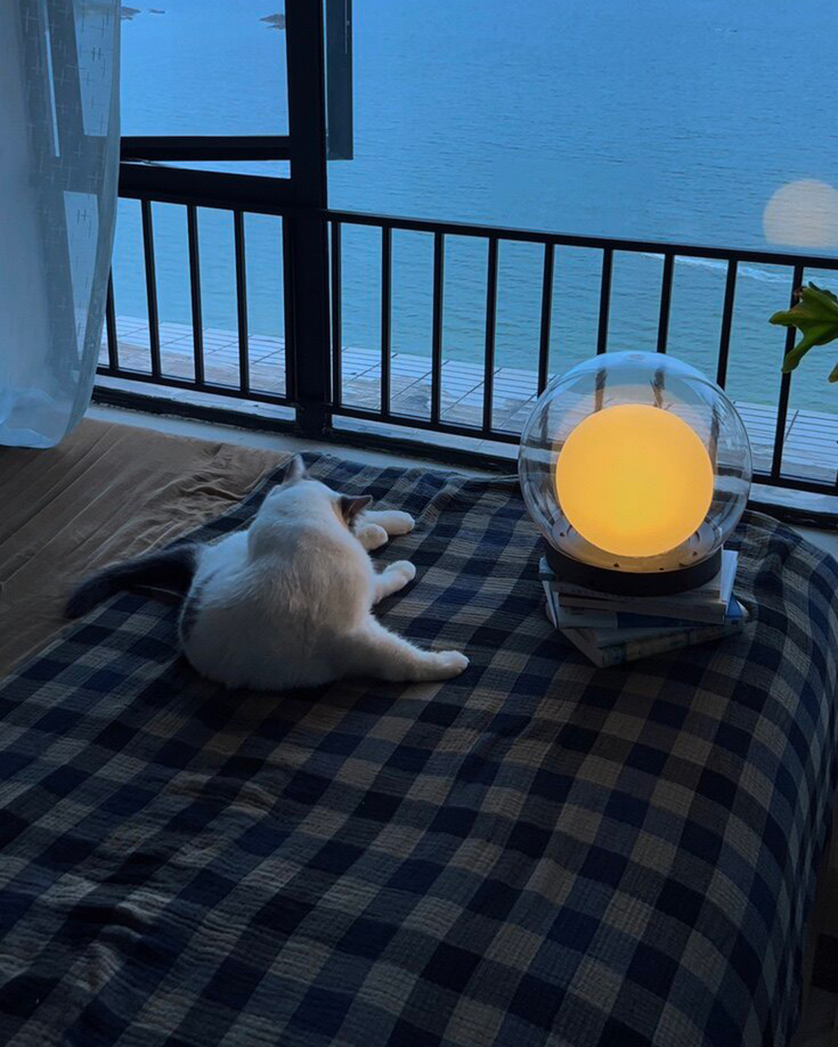 Luna Dome Outdoor Lamp