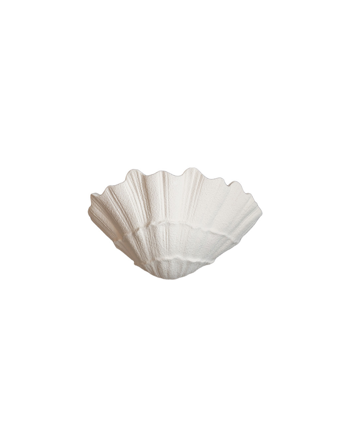 Tidal Bloom Plaster Wall Sconce