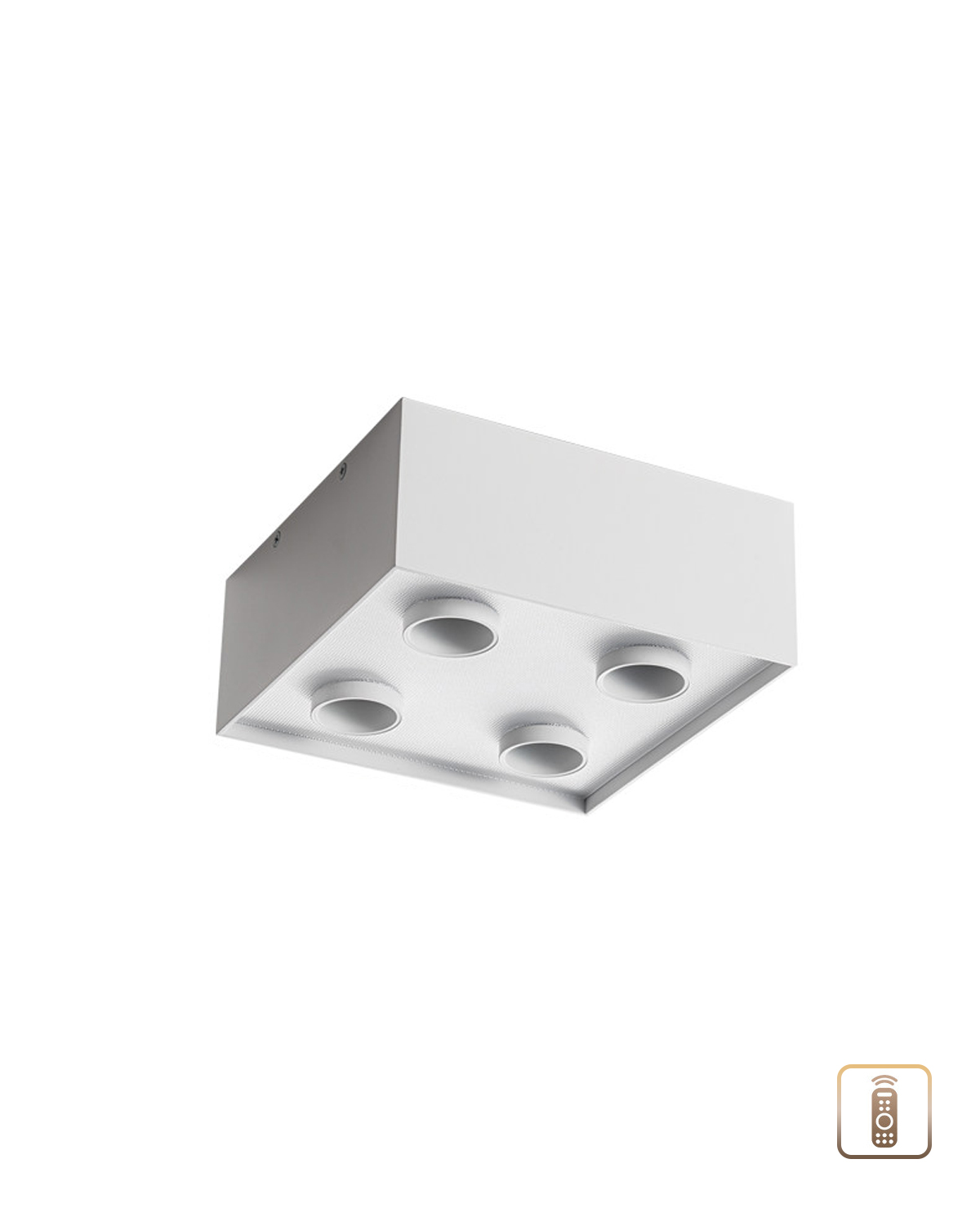 Focus Field Ceiling Light