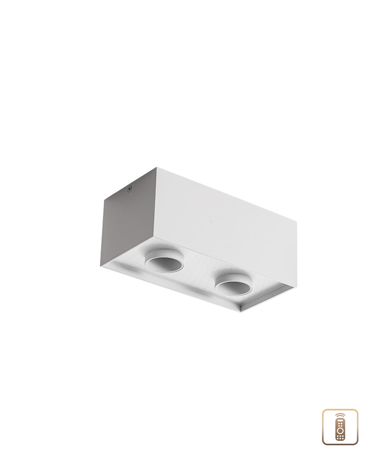 Focus Field Ceiling Light