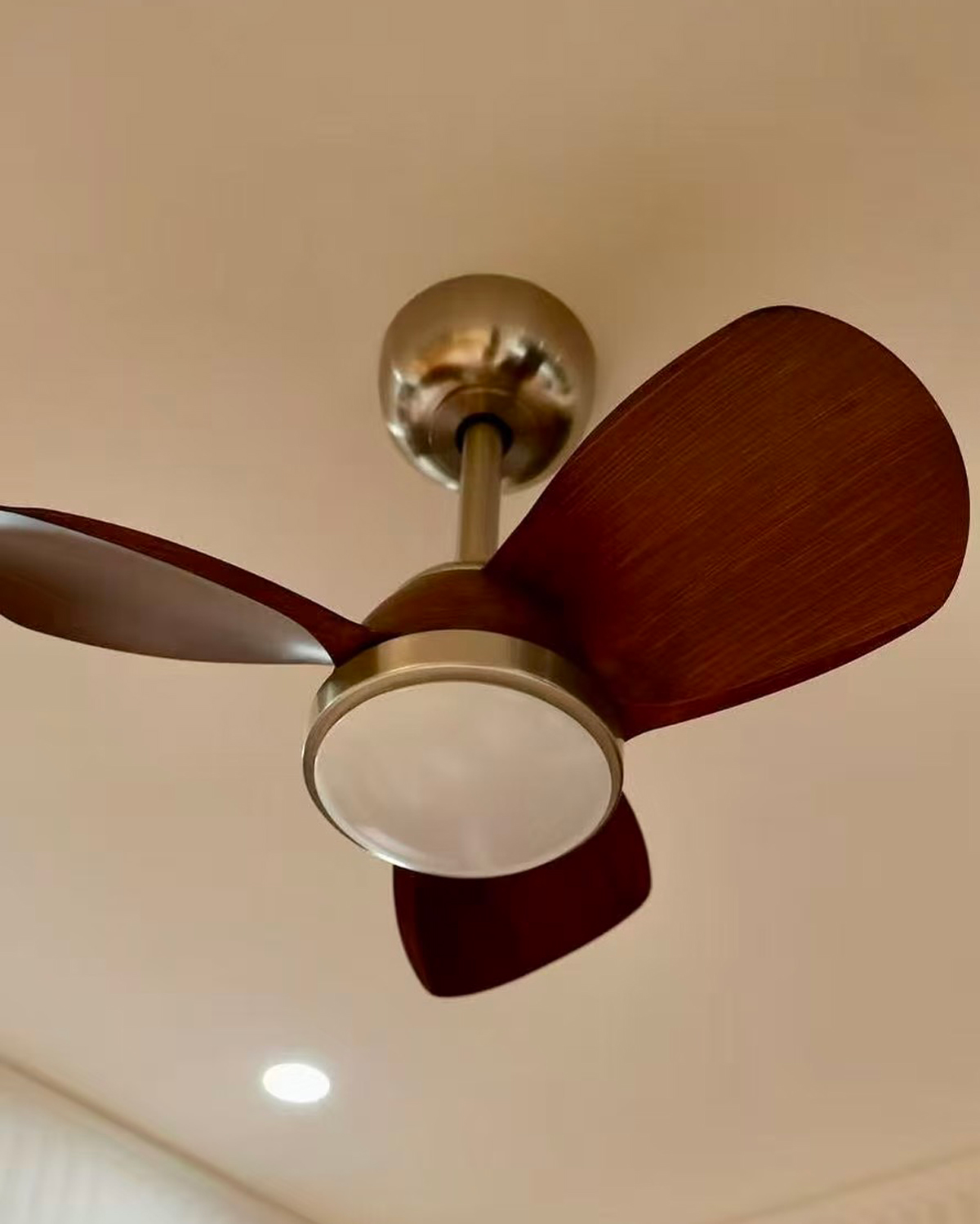 Mellow Breeze Ceiling Fan Light 