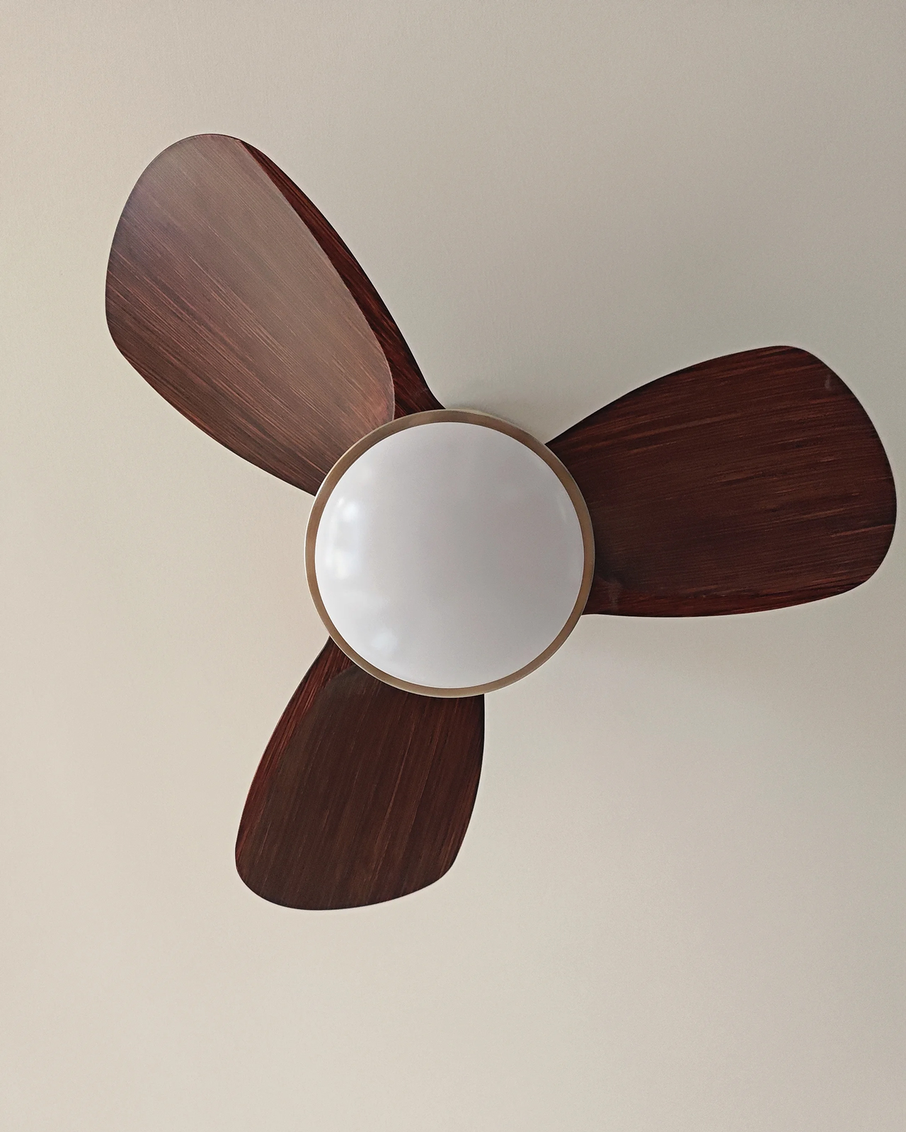 Mellow Breeze Ceiling Fan Light 