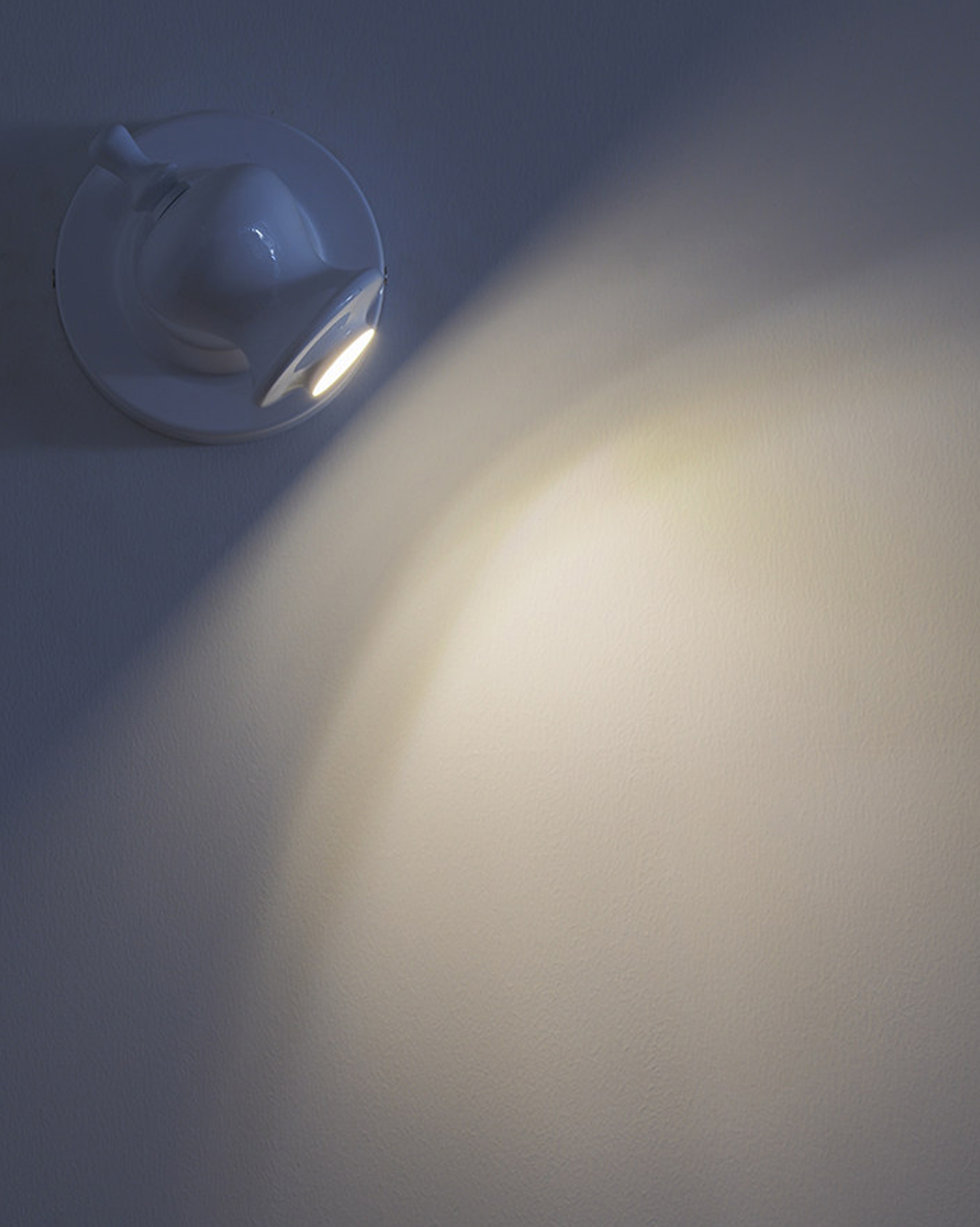 Metafleur Wall Sconce