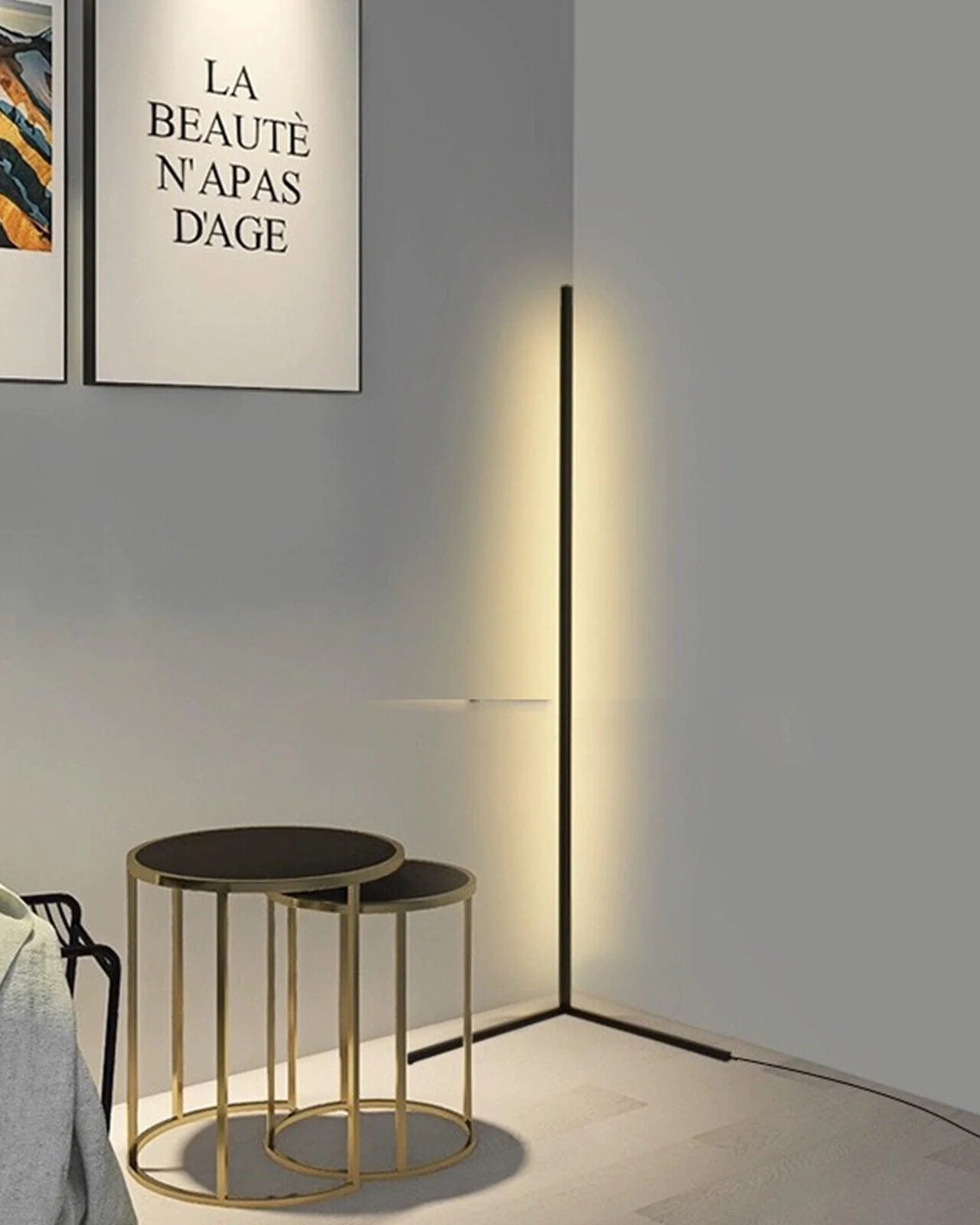 Minimalist LED Floor Lamp