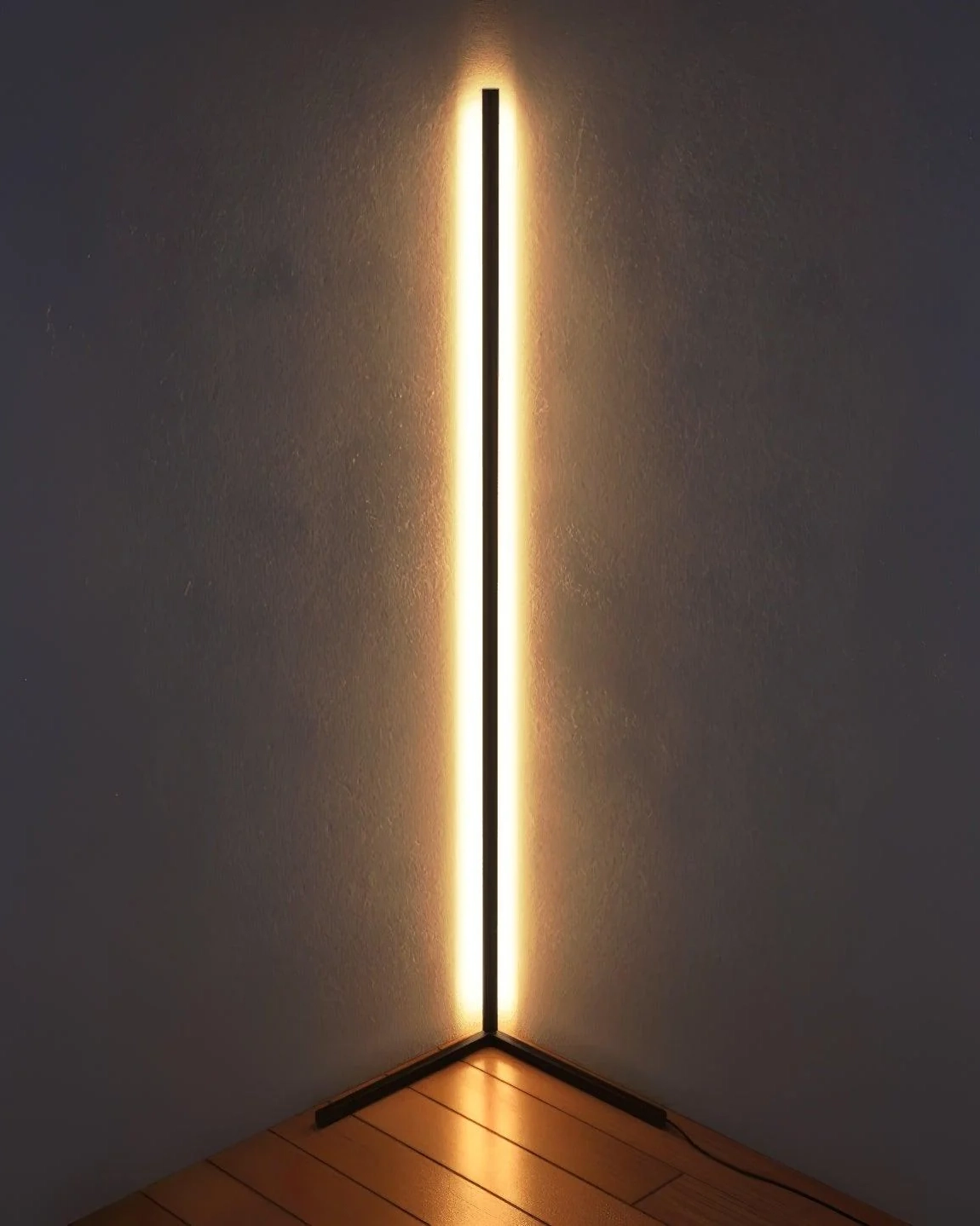 Minimalist LED Floor Lamp