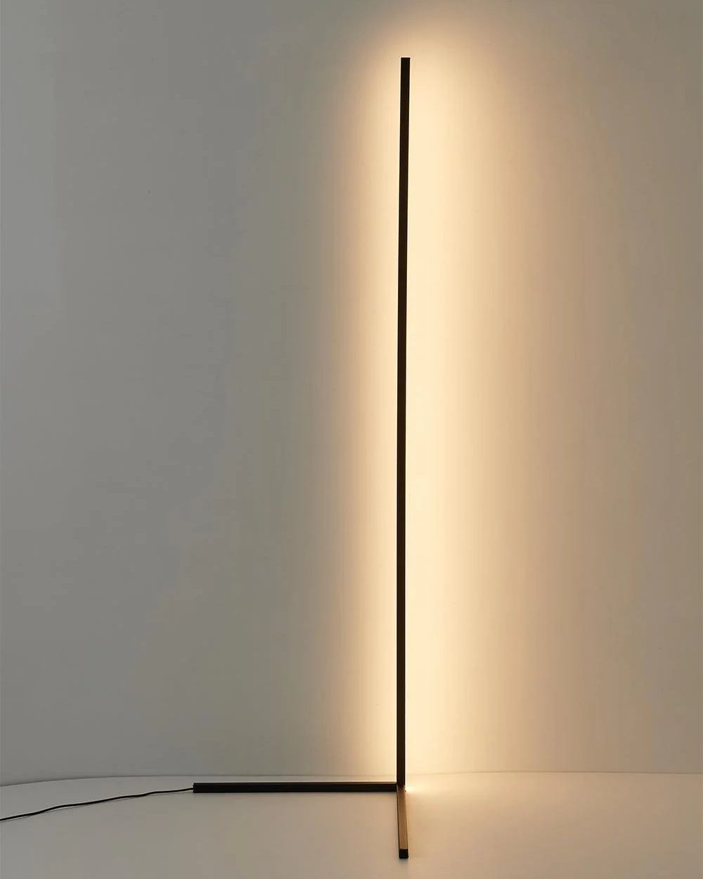 Minimalist LED Floor Lamp