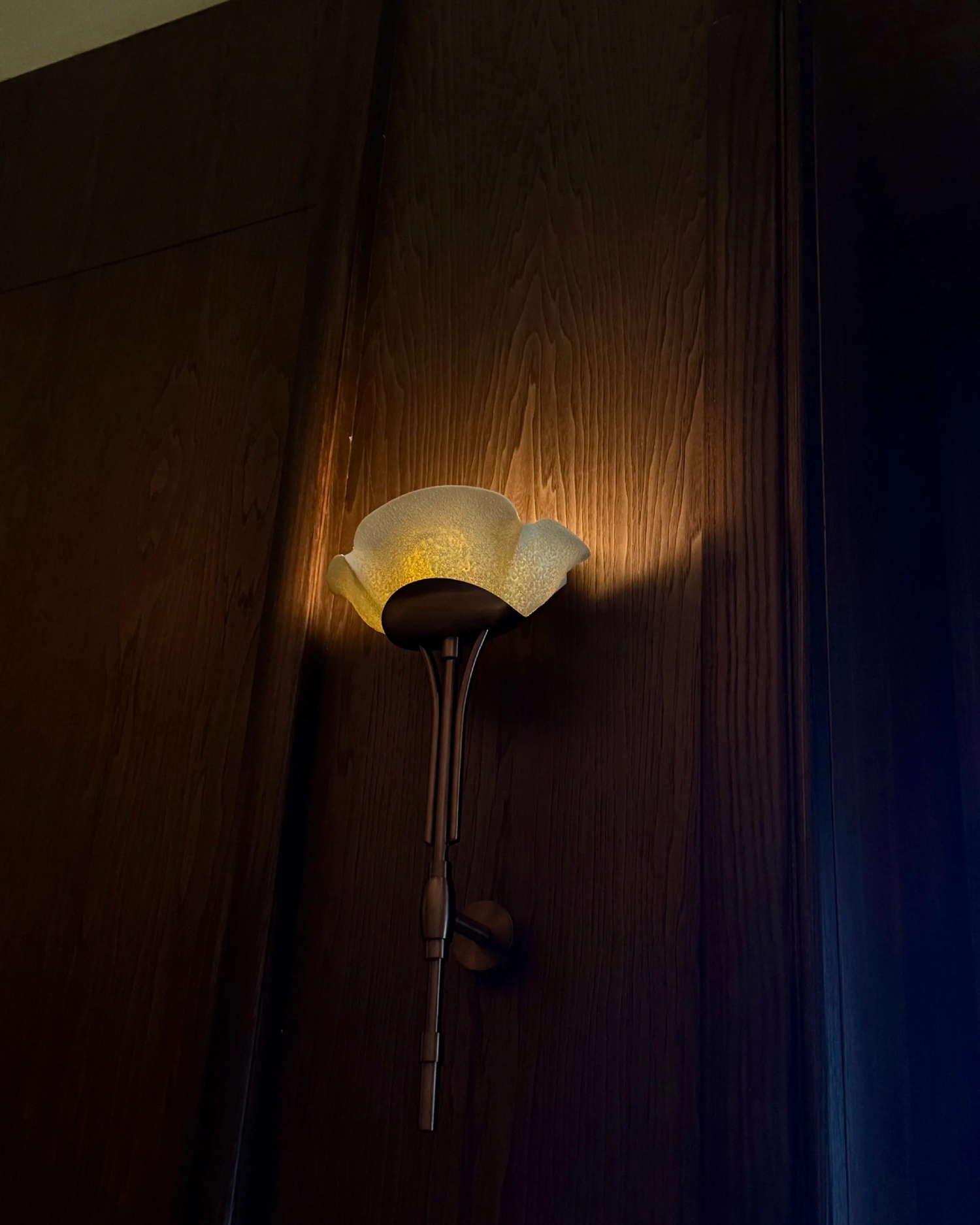 Morbida Wall Sconce