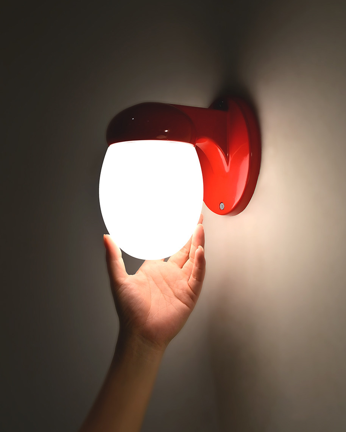 Ovo Glass Wall Sconce