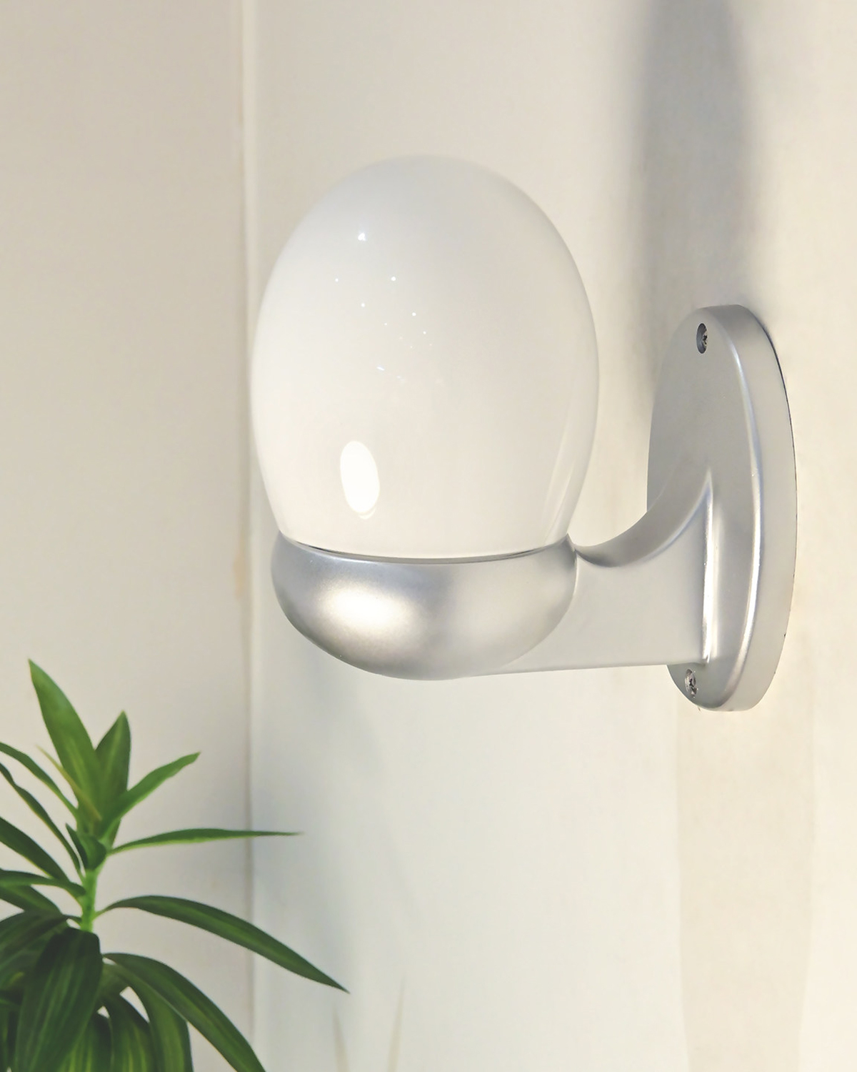 Ovo Glass Wall Sconce