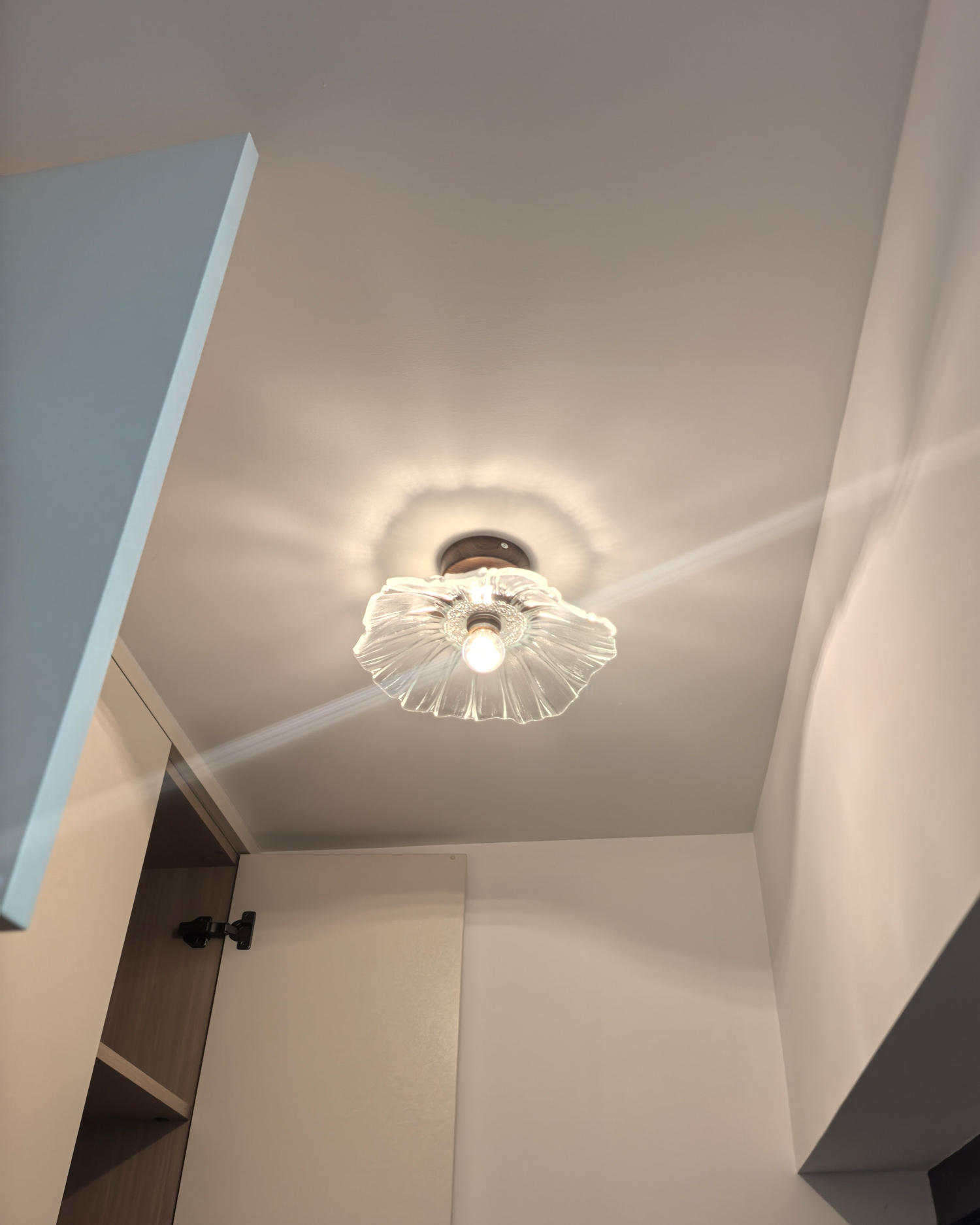 Petal Veil Glass Ceiling Light
