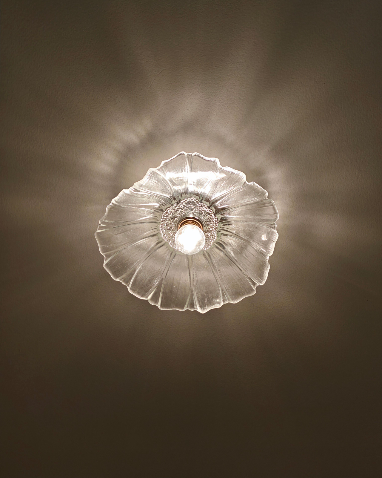Petal Veil Glass Ceiling Light