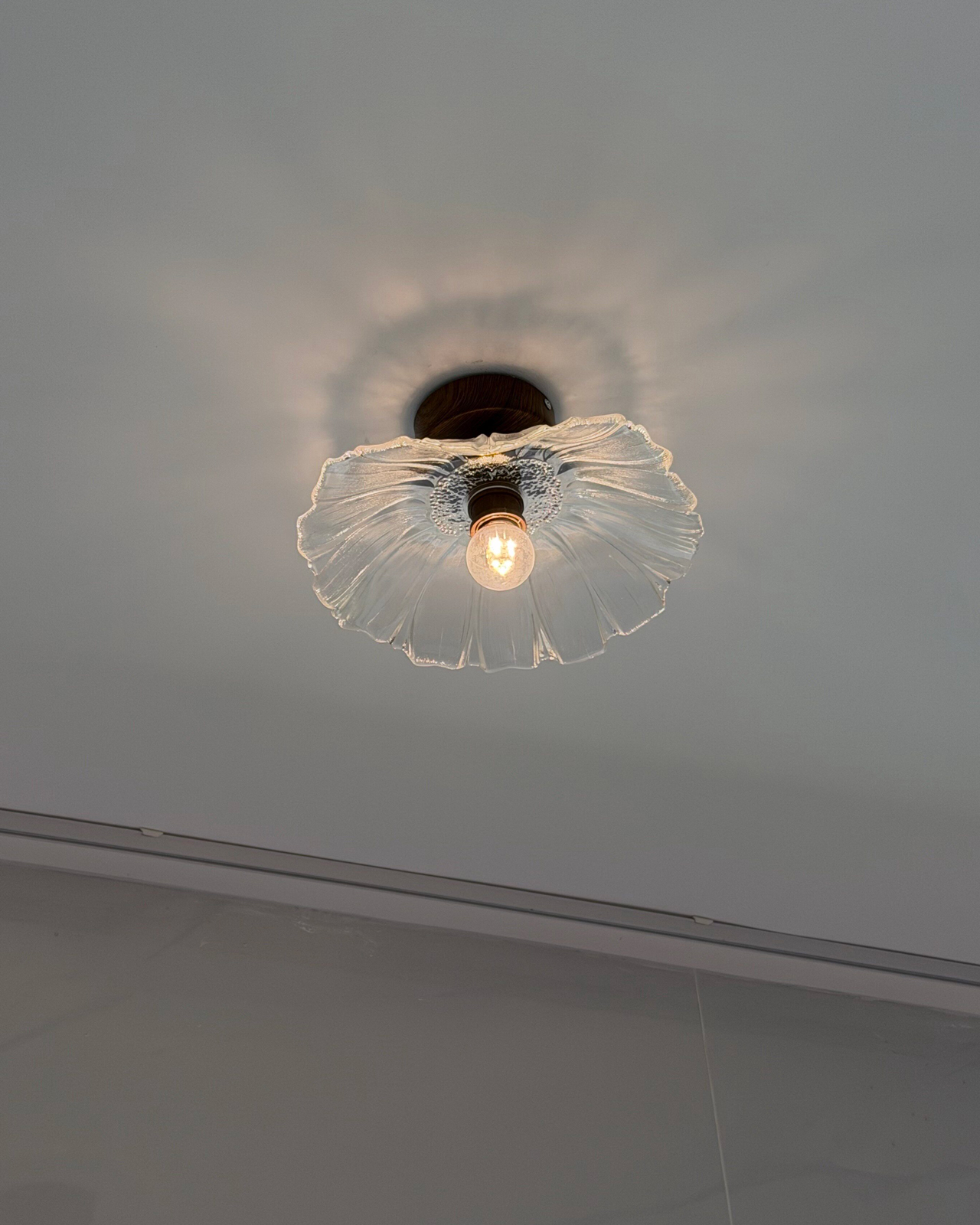 Petal Veil Glass Ceiling Light
