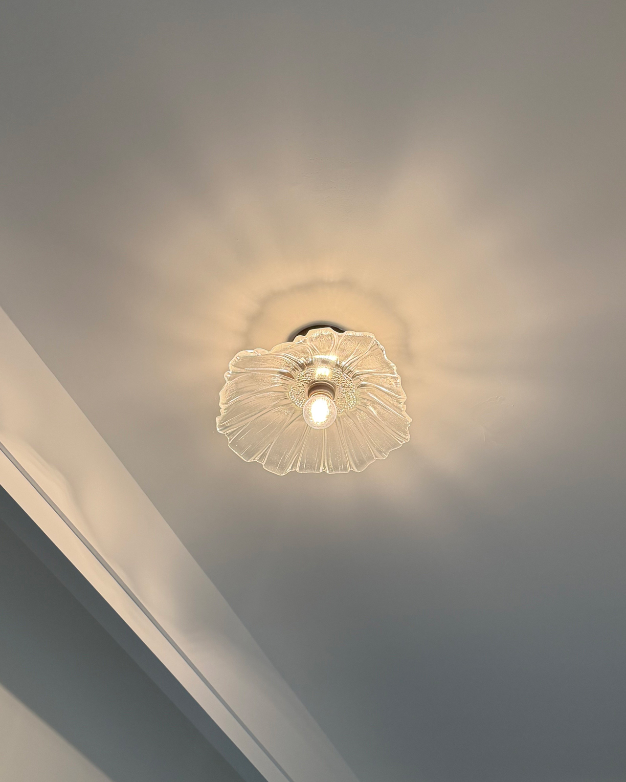 Petal Veil Glass Ceiling Light