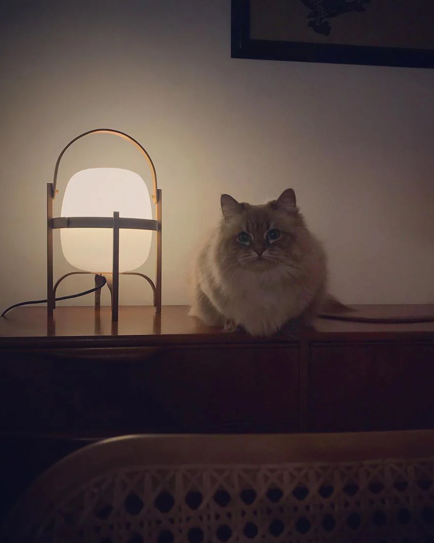 Portable Lantern Glass Table Lamp