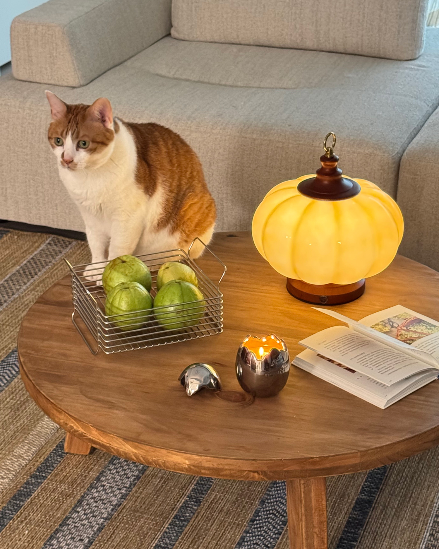 Pumpkin Glass Rechargeable Table Lamp