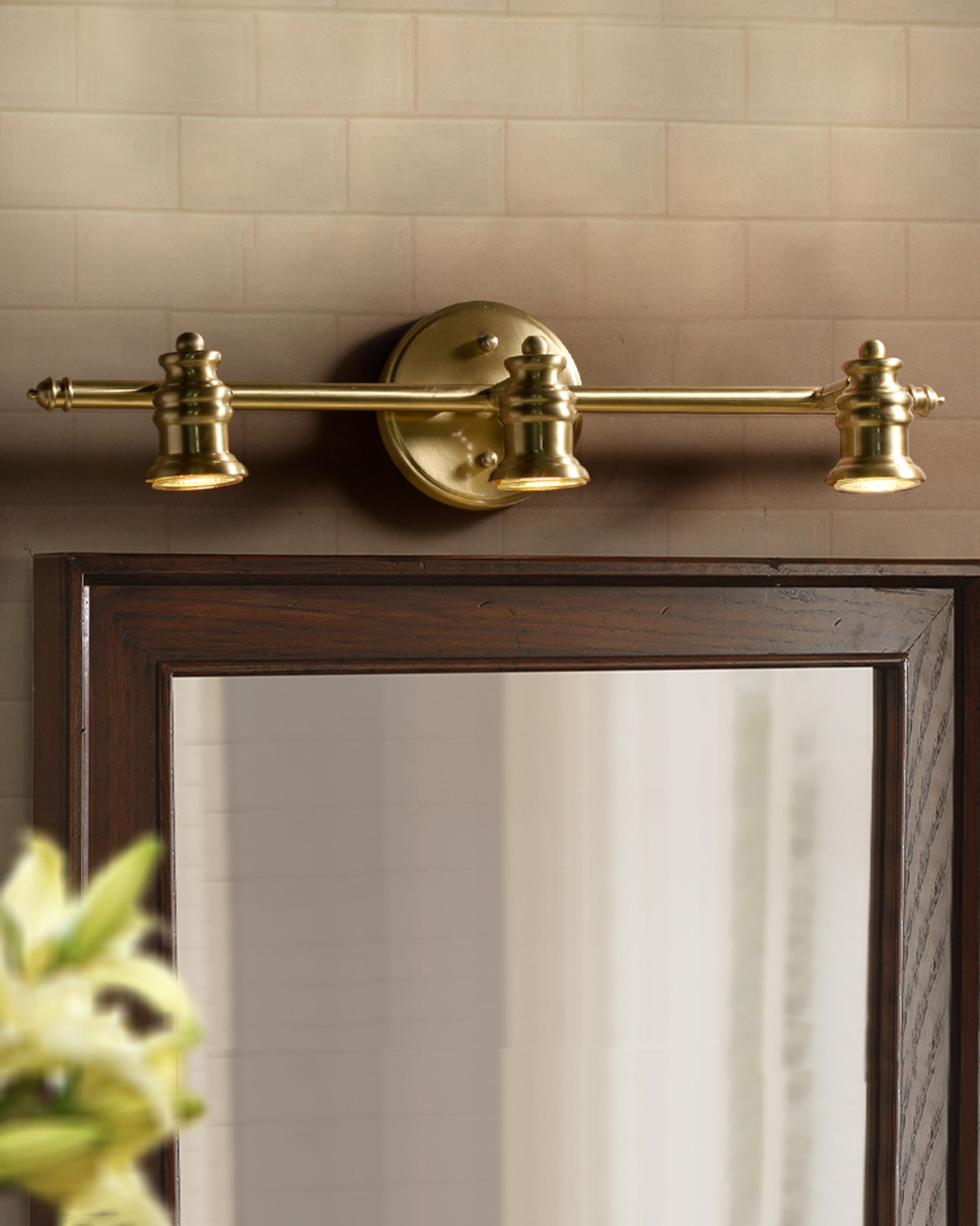 Regal Brass Mirror Light