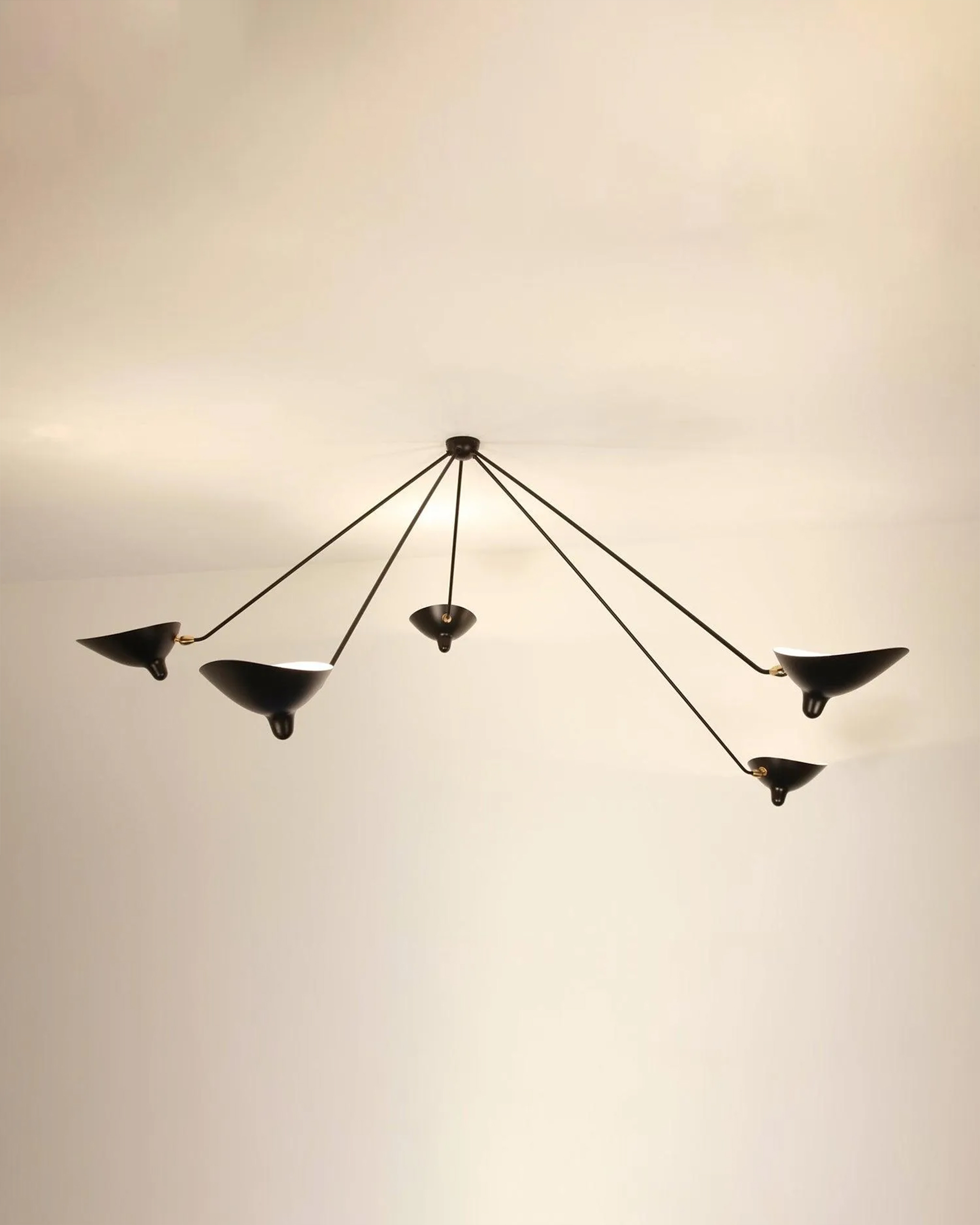 Serge Mouille Ceiling Lamp B