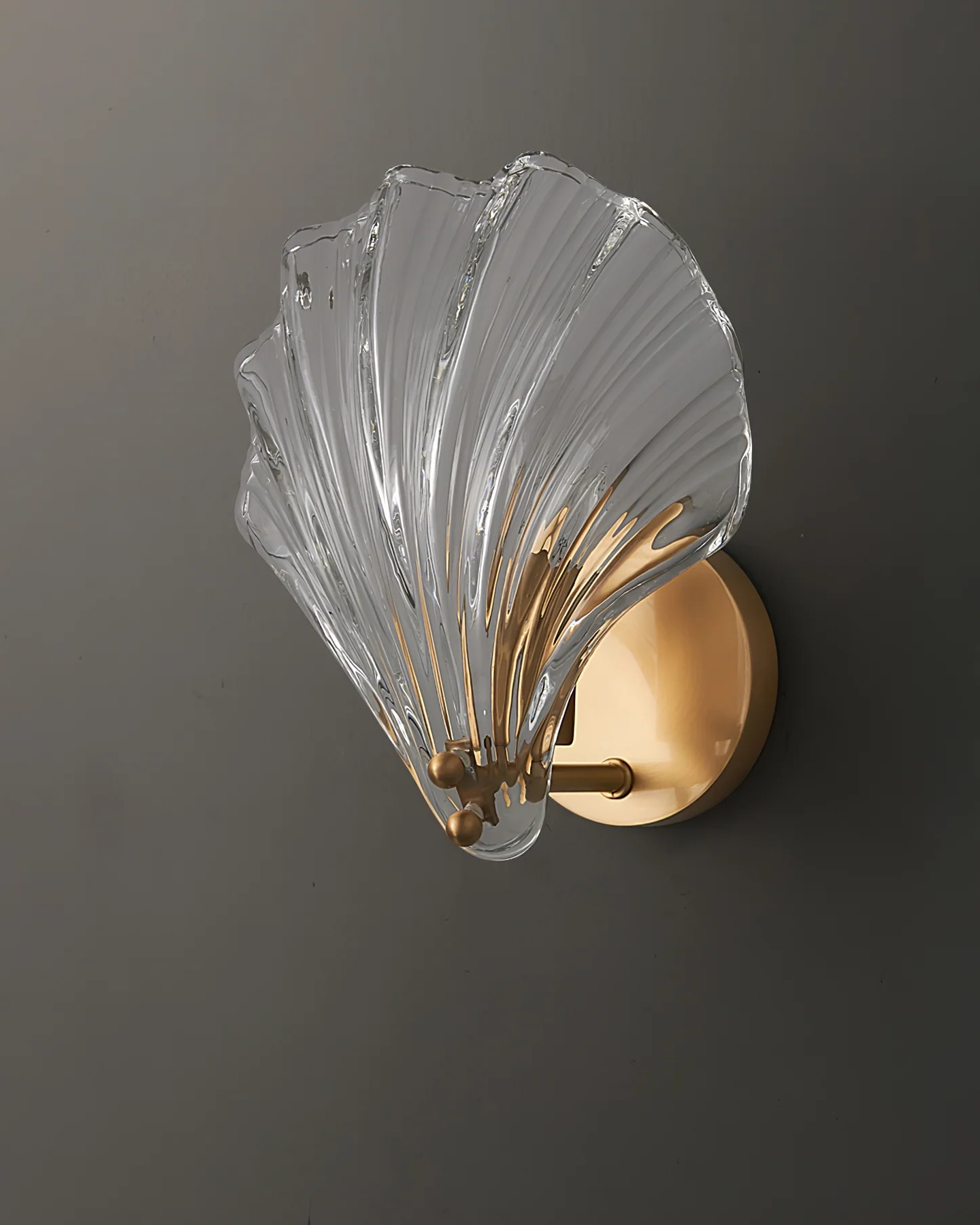 Shell Wall Light