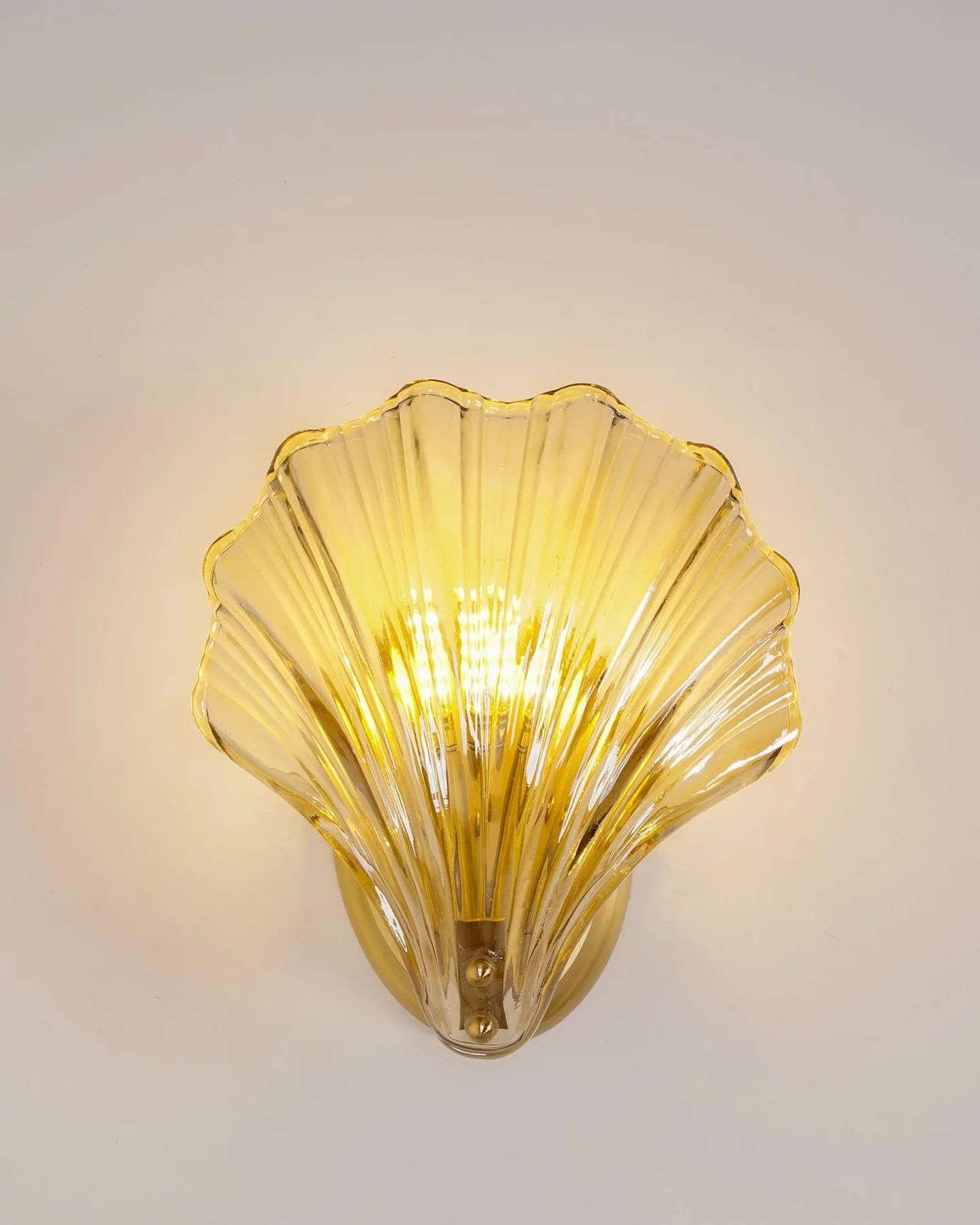 Shell Wall Light