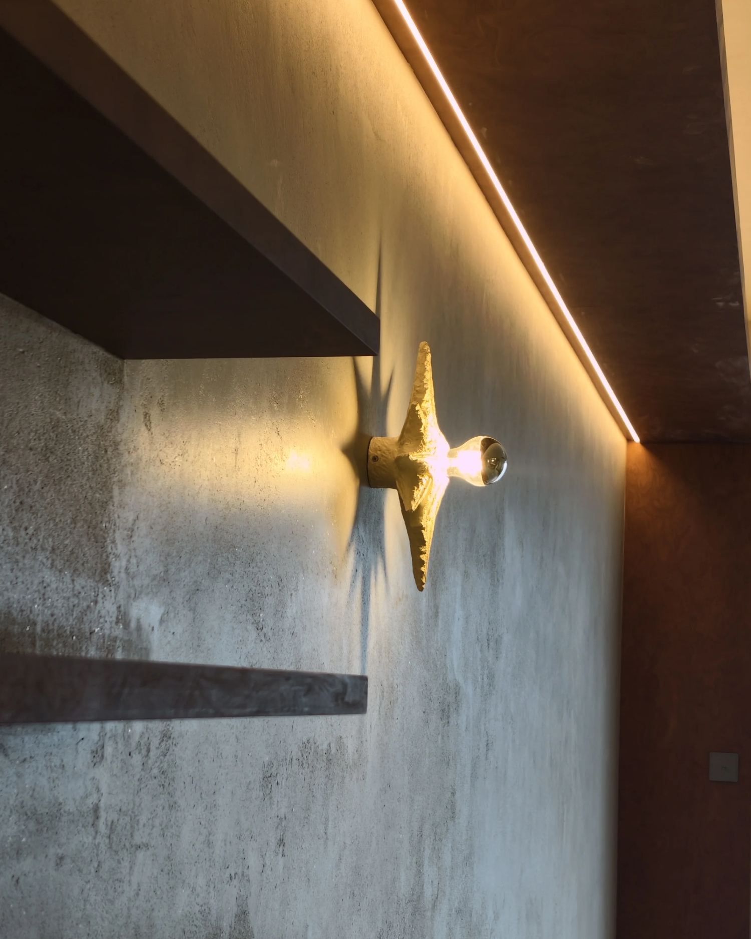 Stella Maris Wall Sconce