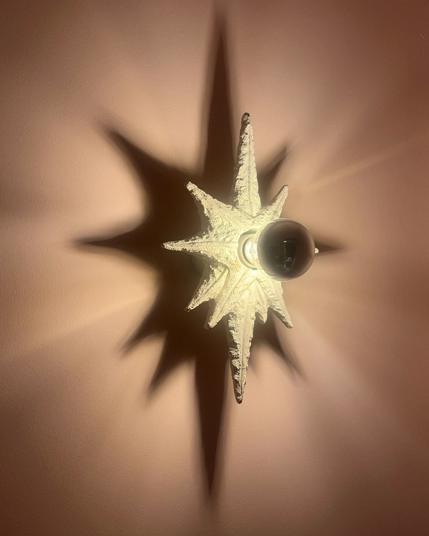 Stella Maris Wall Sconce