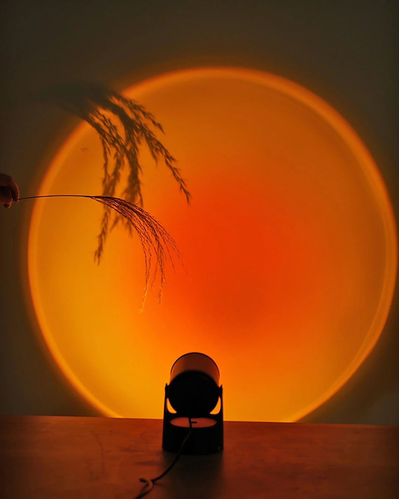 Sunset Projection LED Table Light