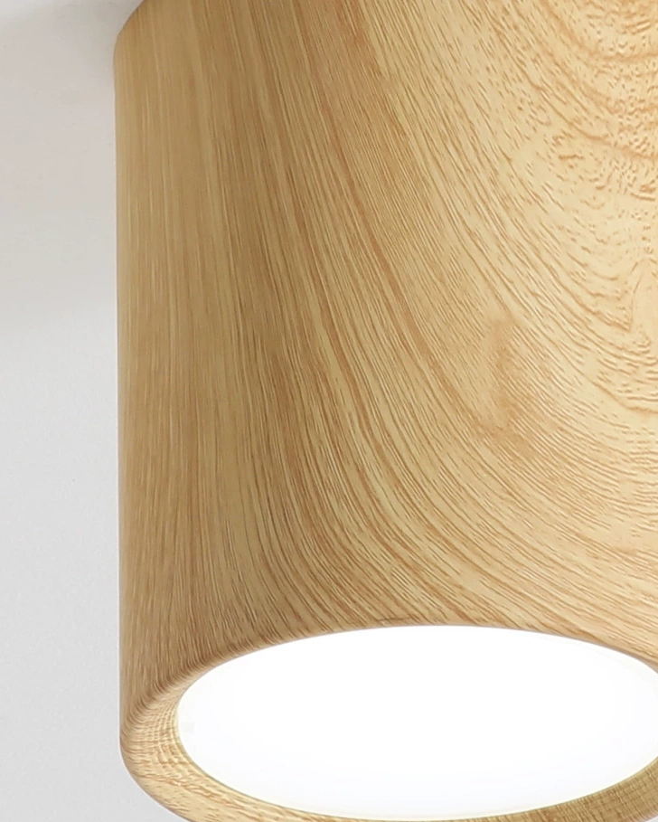 Sylva Cylinder Downlights