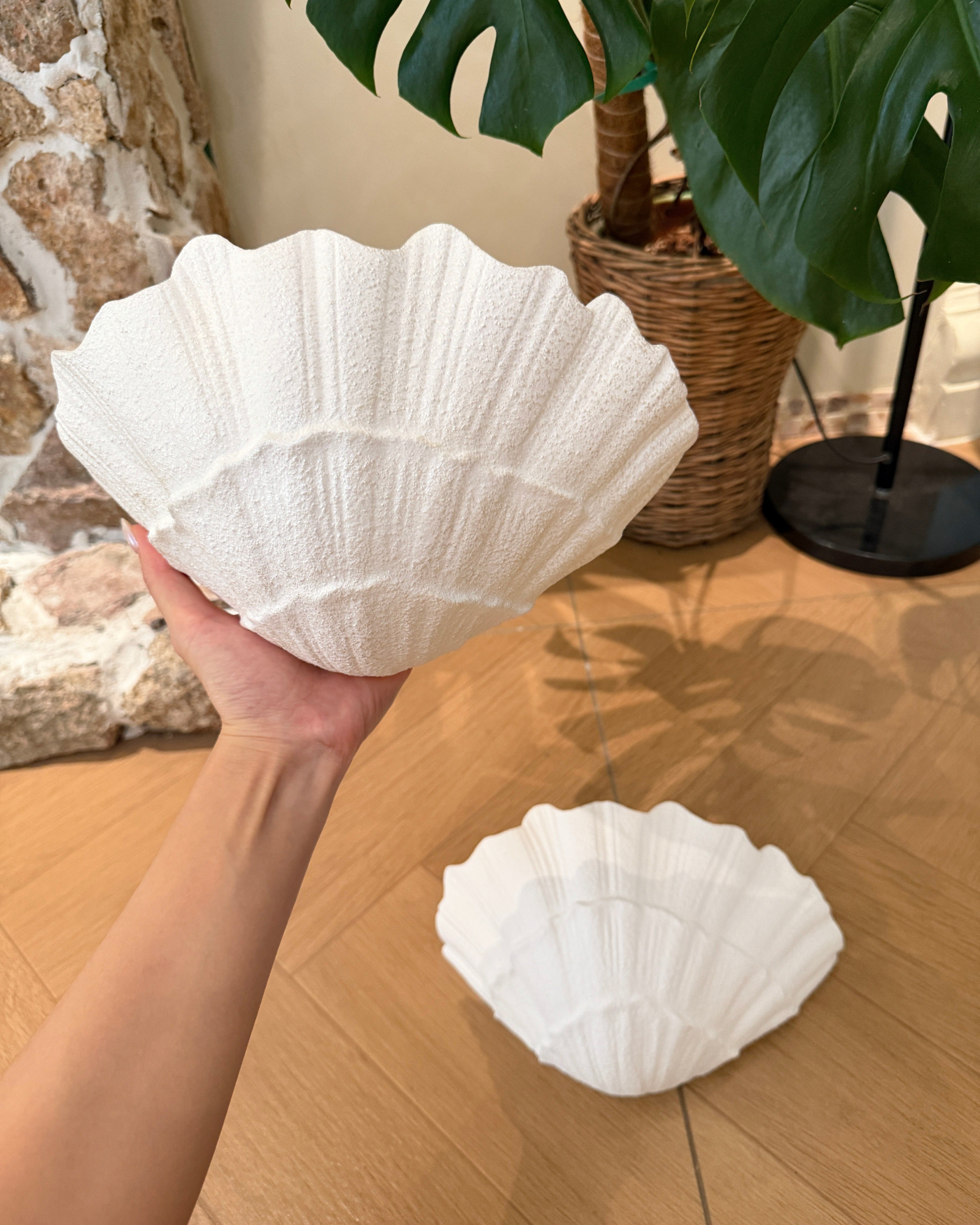 Tidal Bloom Plaster Wall Sconce