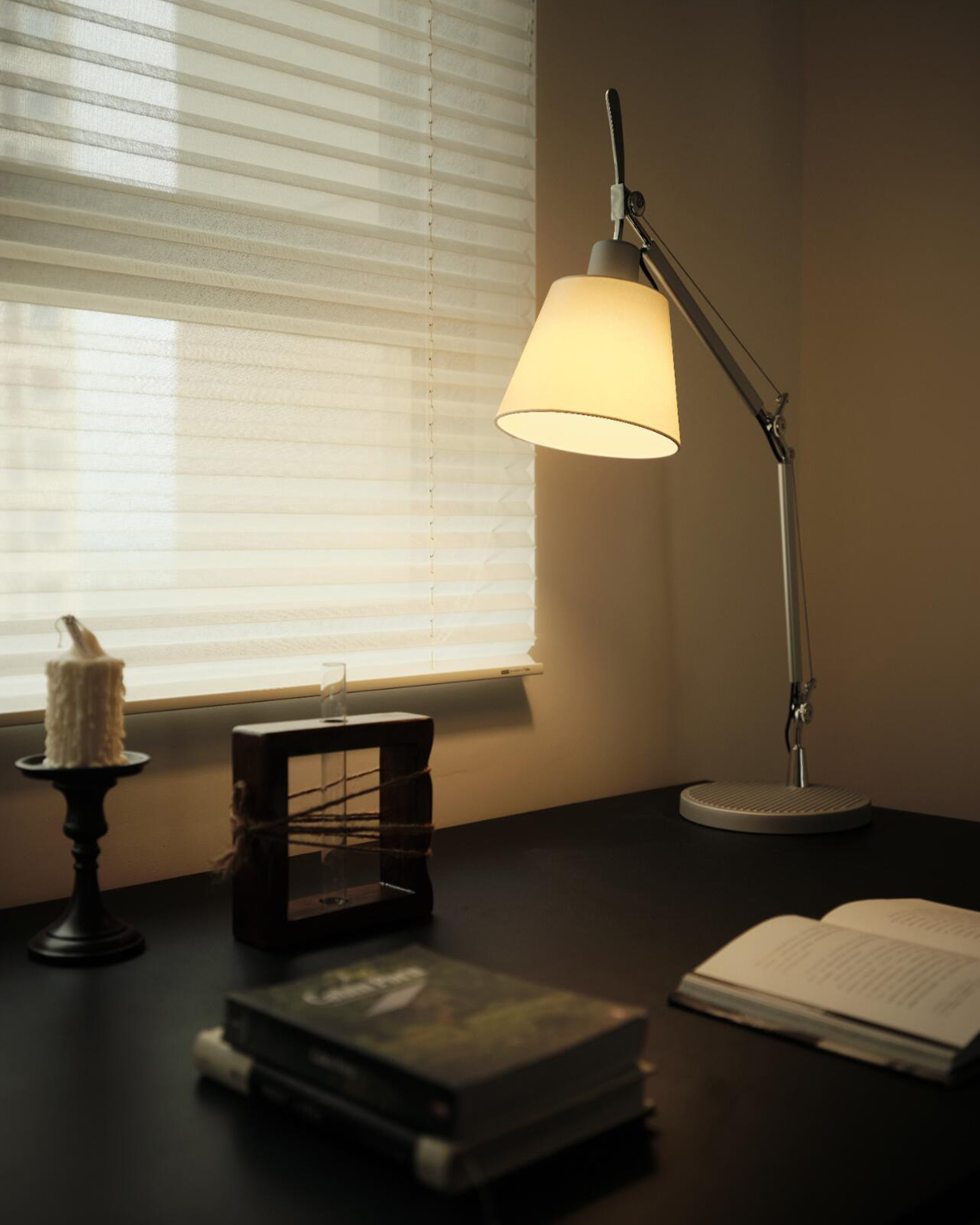 Tolomeo Basculante Table Lamp