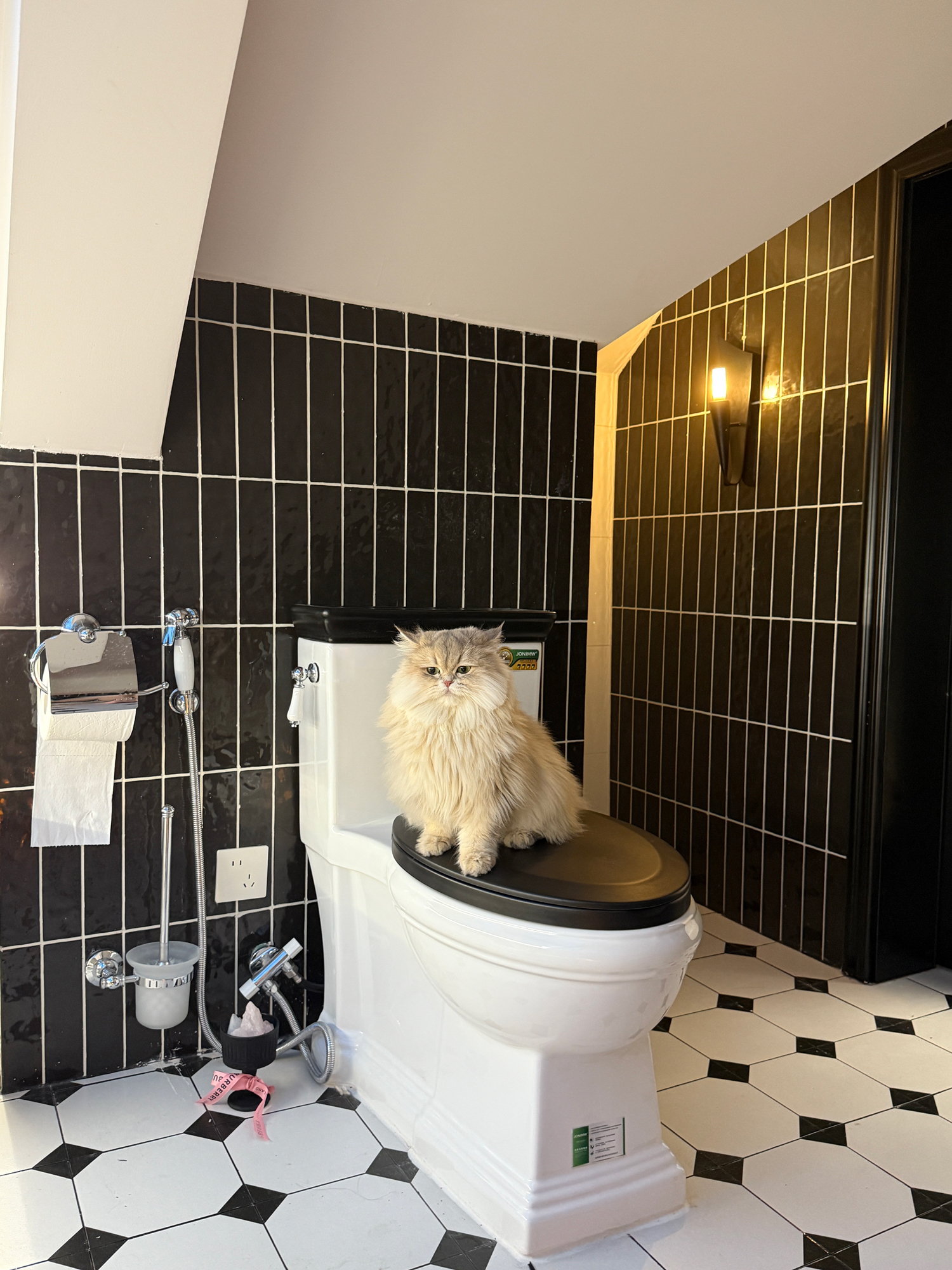 Vesta Flame Wall Lamp