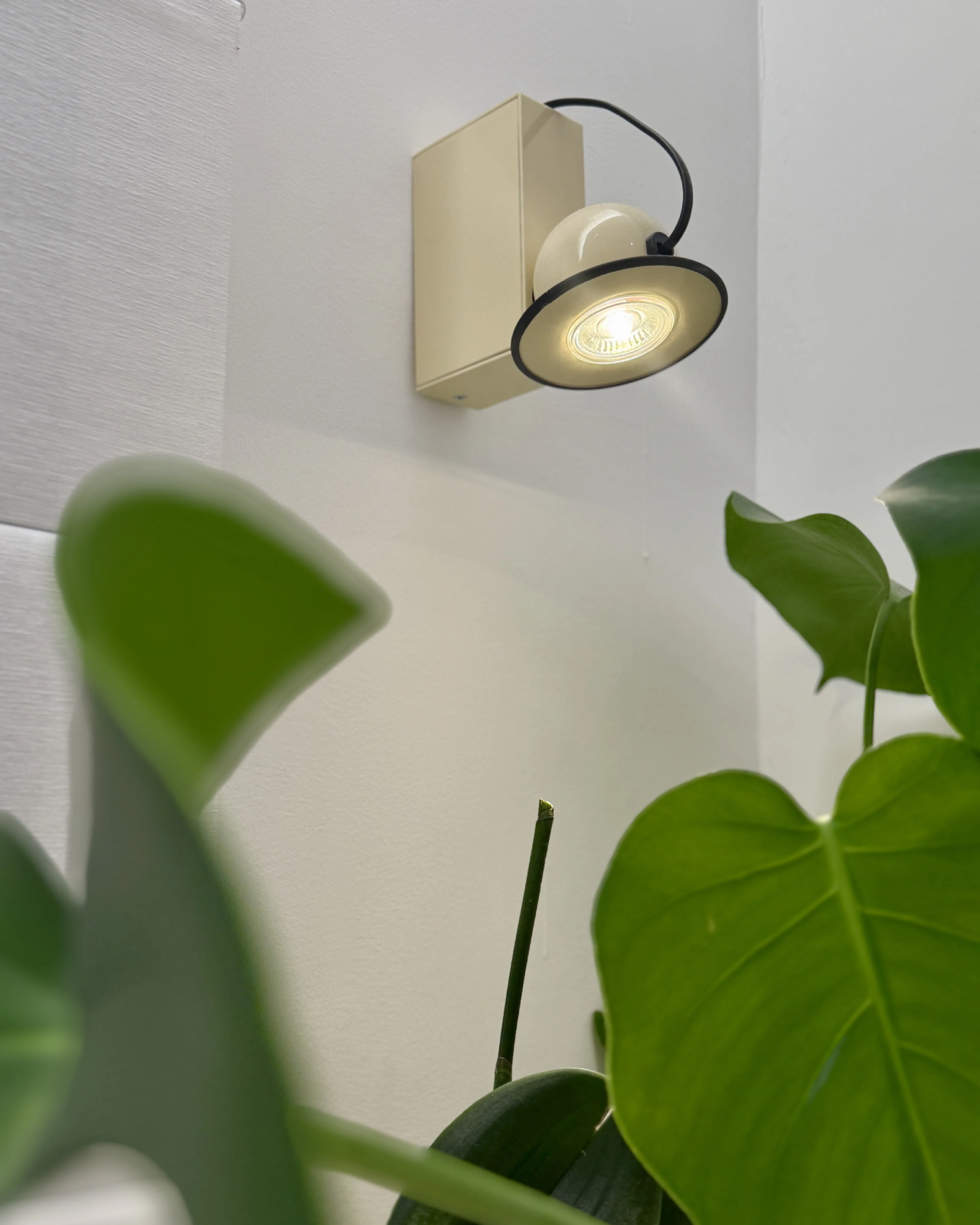 Wink Wink Wall Light 