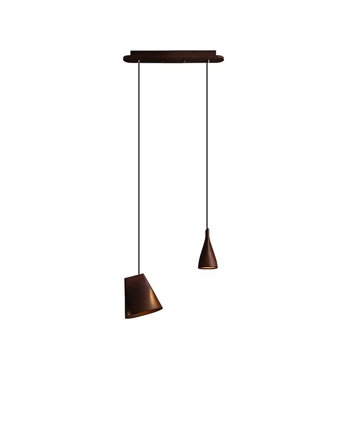 Driftwood Pendant Lamp