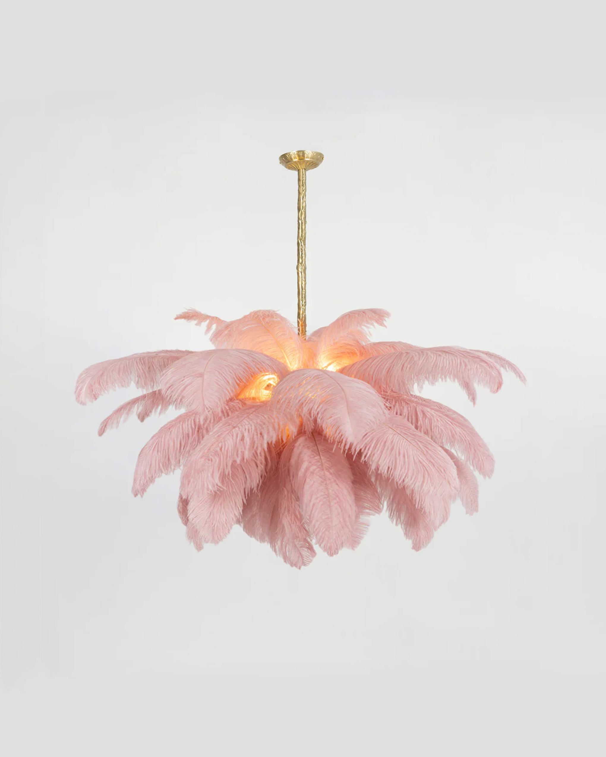 Ostrich Feather Chandelier