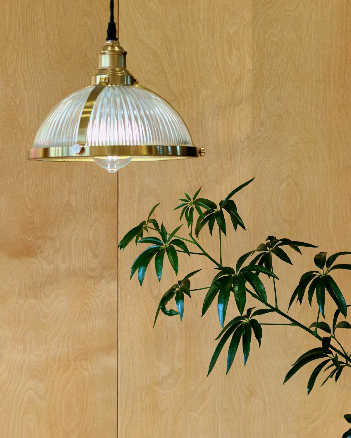Bistro Ribbed Glass Pendant Light