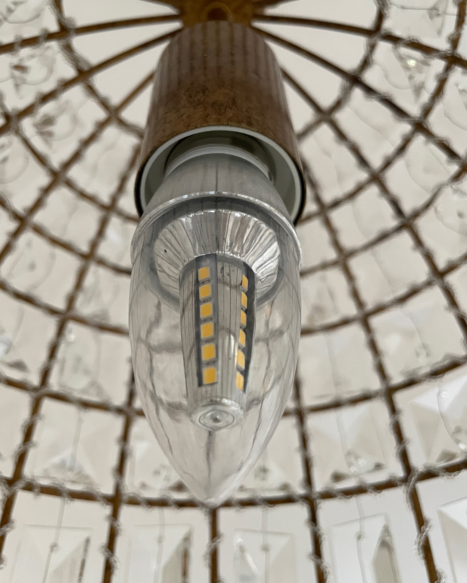 Lumiere Cage Pendant Light