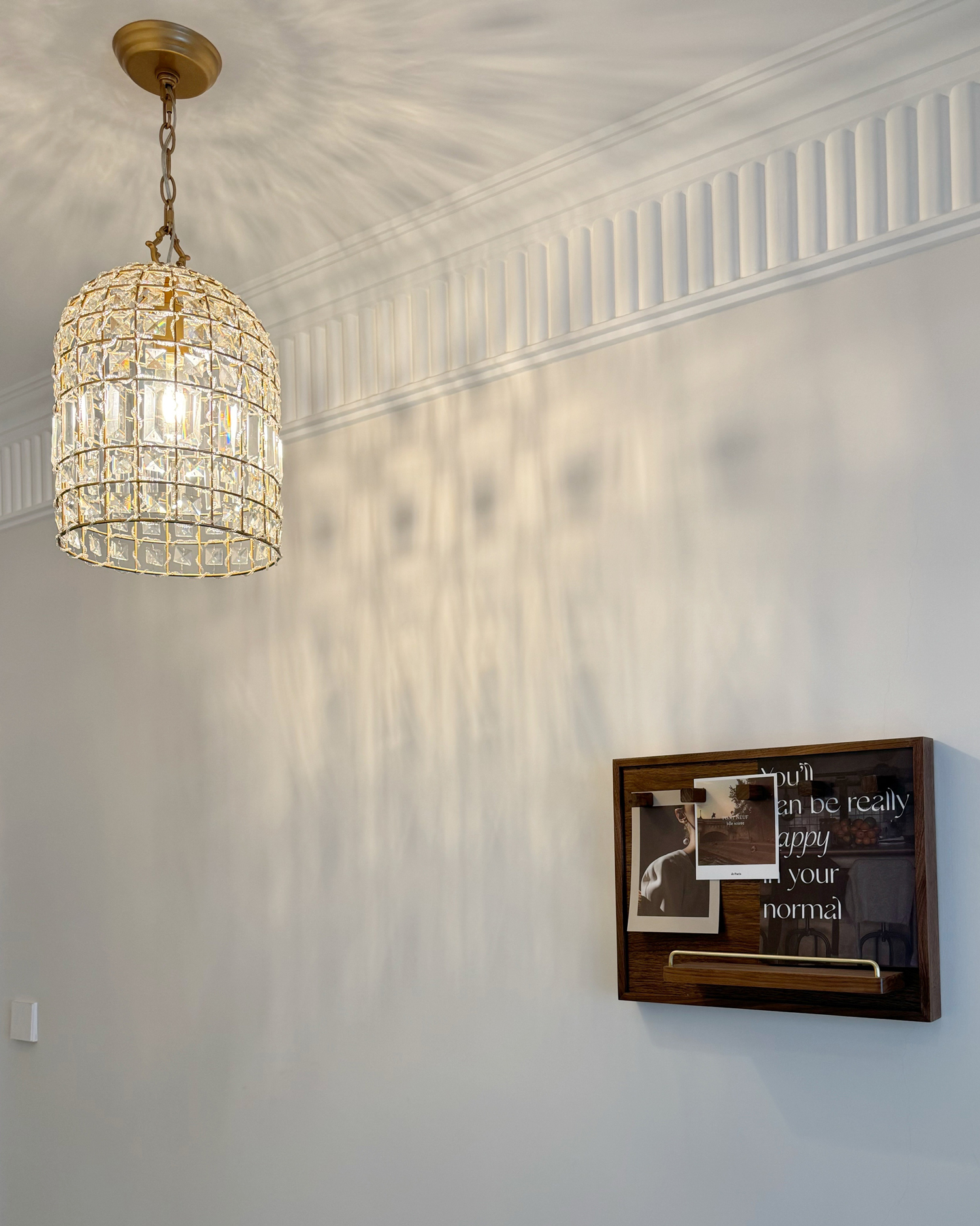 Lumiere Cage Pendant Light