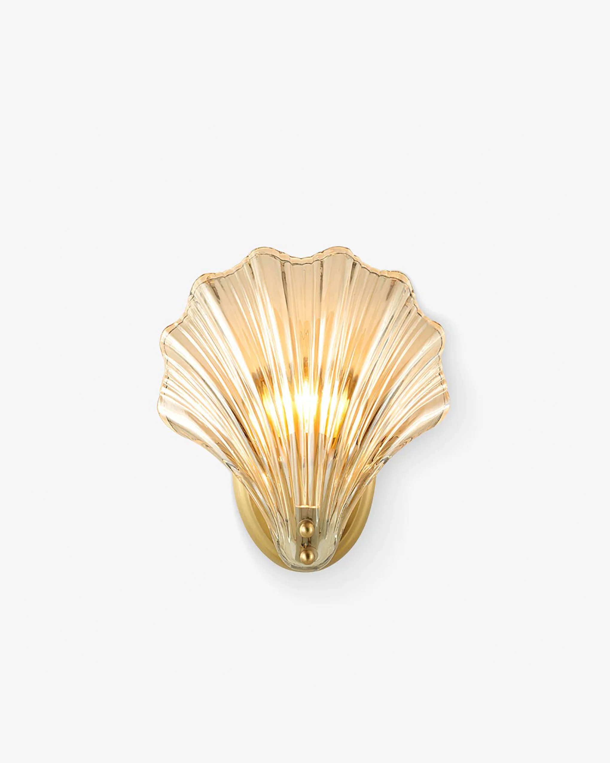 Shell Wall Light