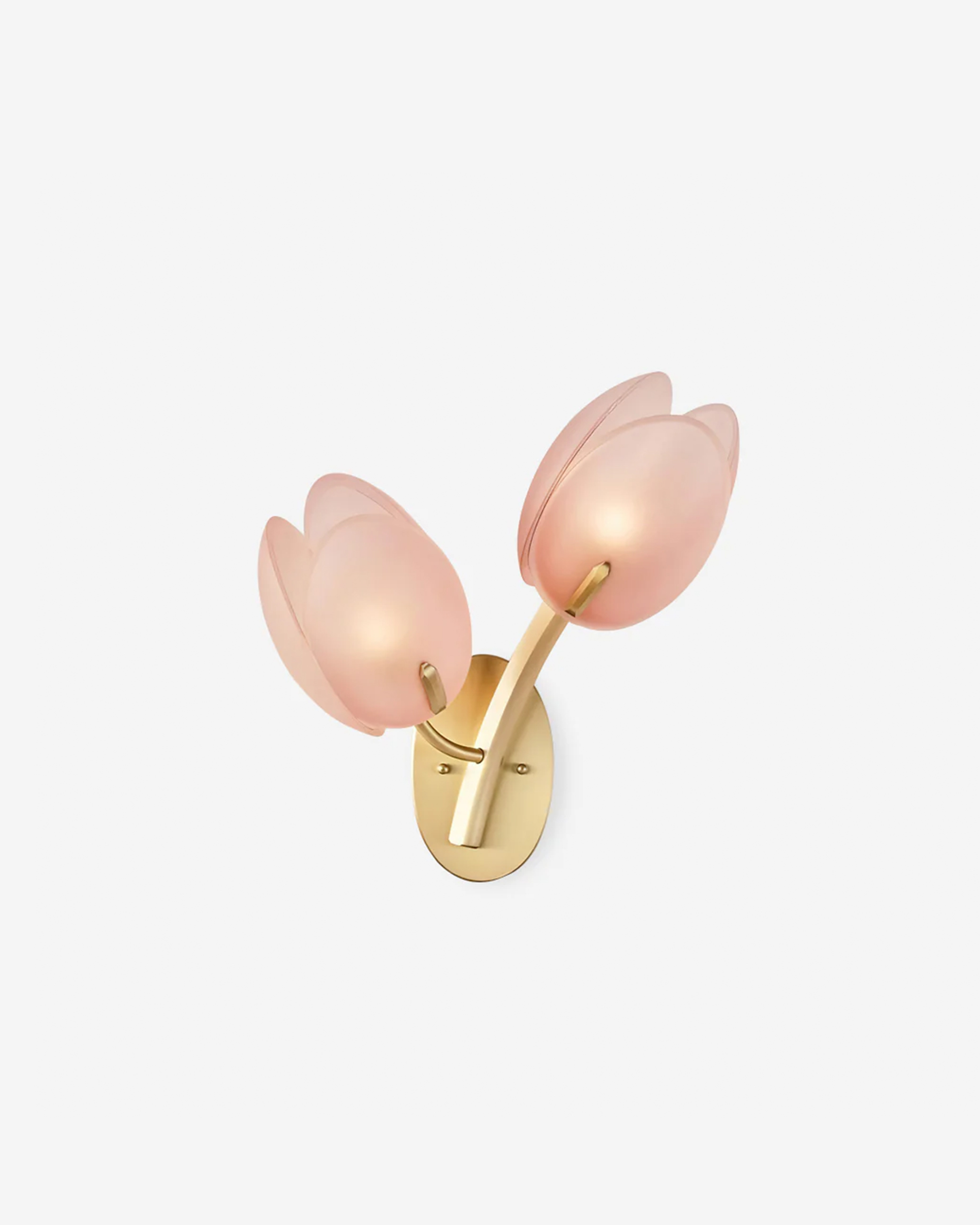 Tulip Bud Wall Lamp