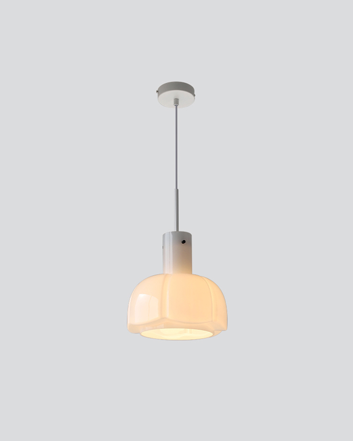 Petal Dome Pendant Light