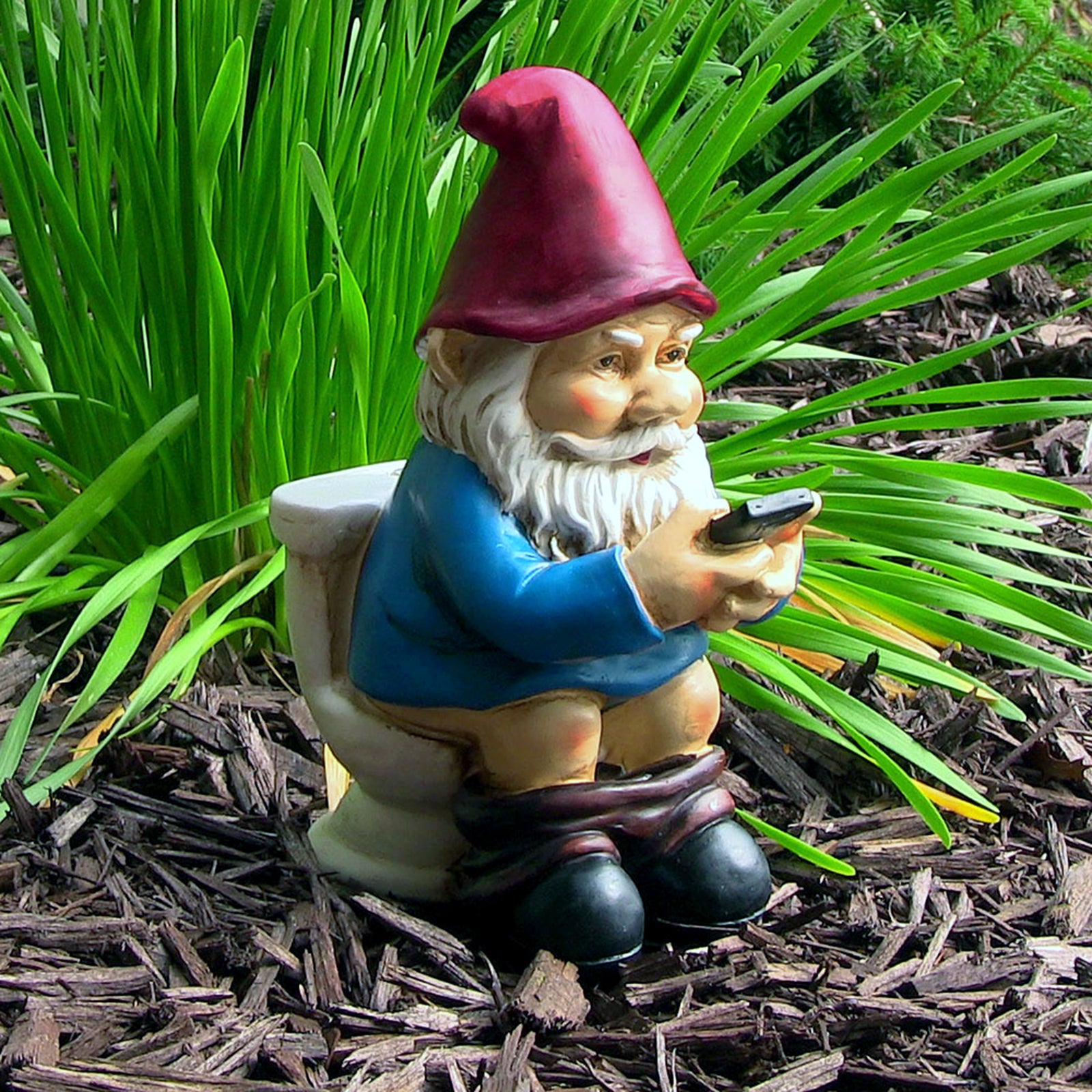 Naughty Garden Gnome on a Toilet