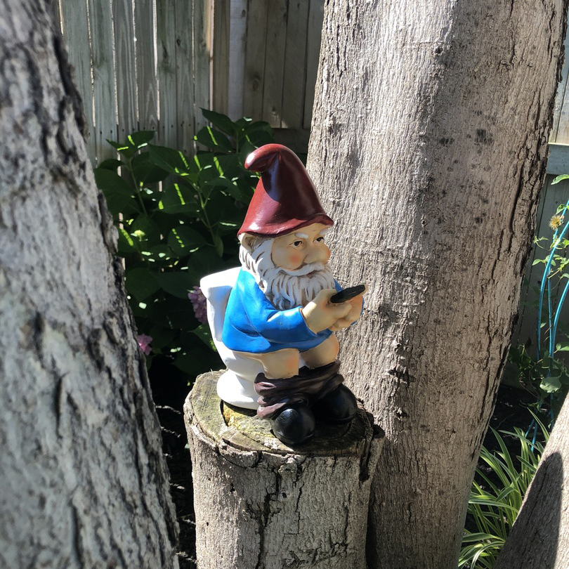 Naughty Garden Gnome on a Toilet