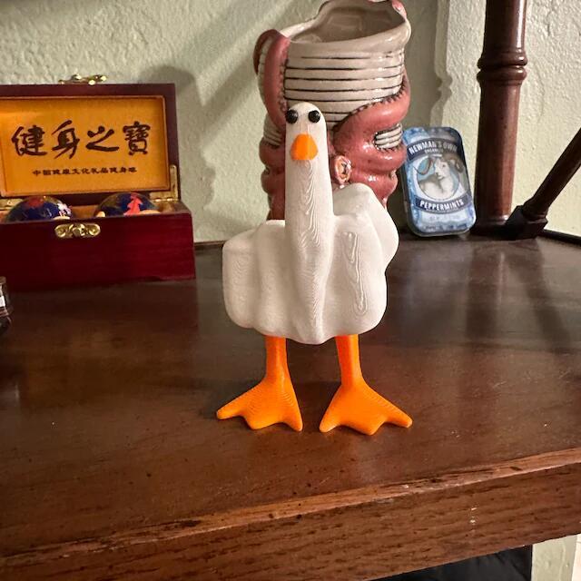 🦆Funny Resin Middle Finger Duck