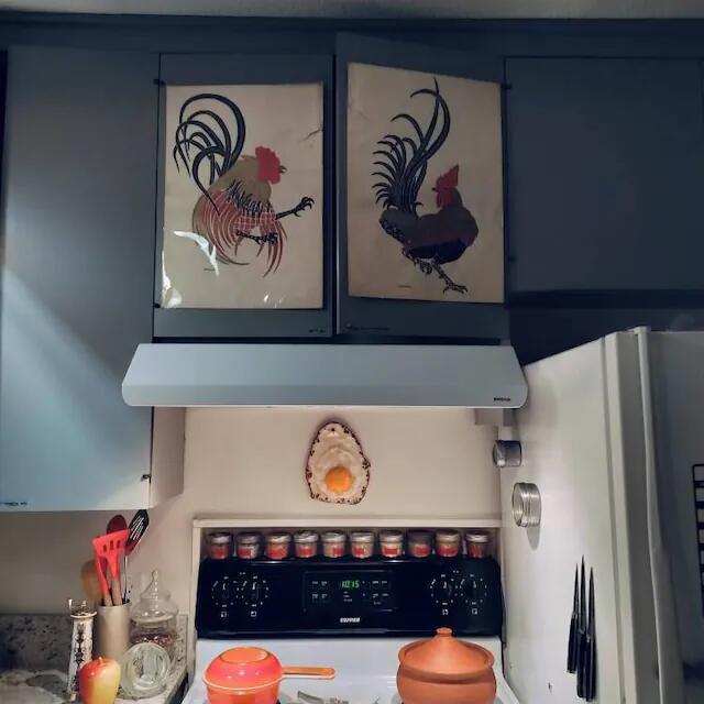 🍳Fried Egg Hanging on a Nail | Funny Gift