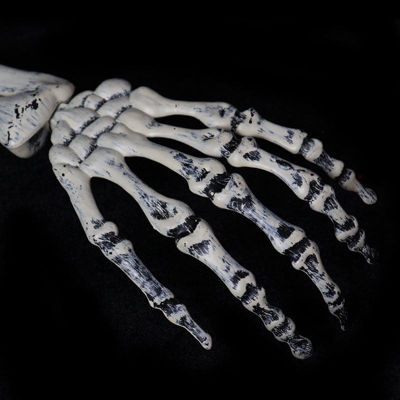 Skeleton Decoration in Garden Cemetery