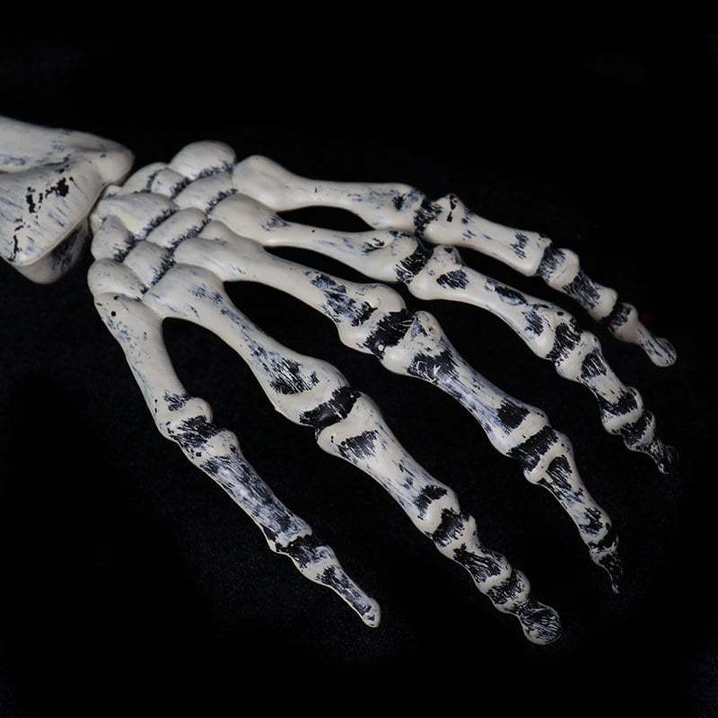 Skeleton Decoration in Garden Cemetery