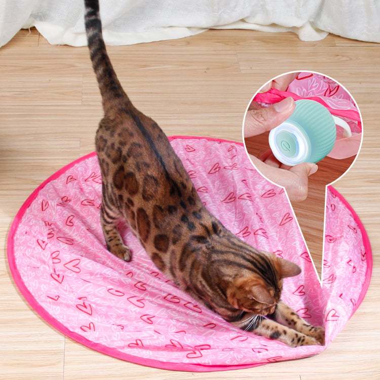 2 in 1 Simulated Interactive hunting cat toy