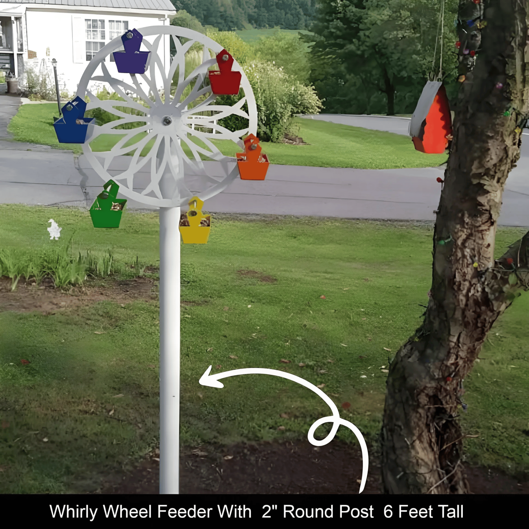 The Ferris Wheel of Fun for Your Feathered Friends